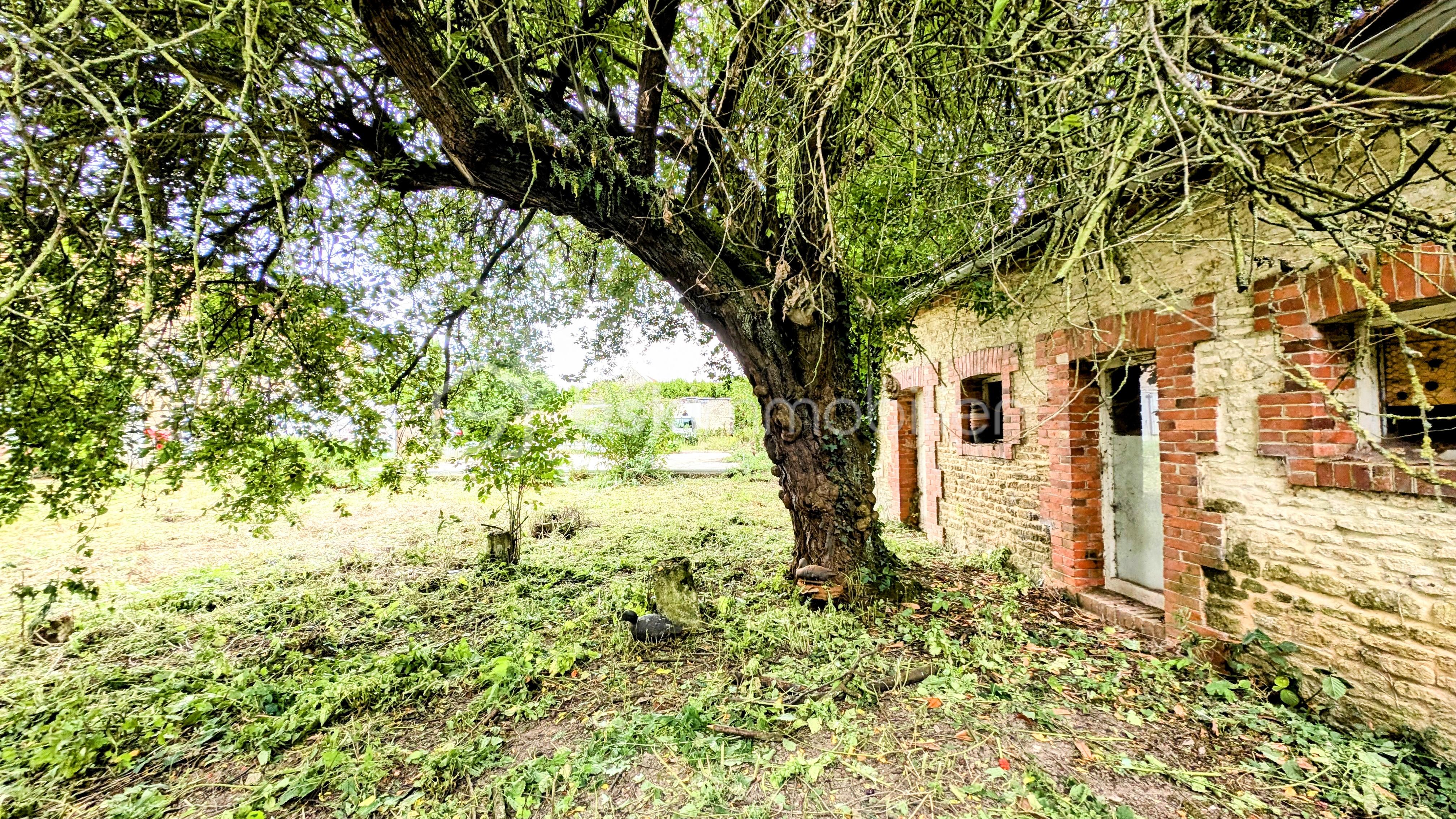 Demeure de 169 m² - PXL_20250729_150833069~2.jpg