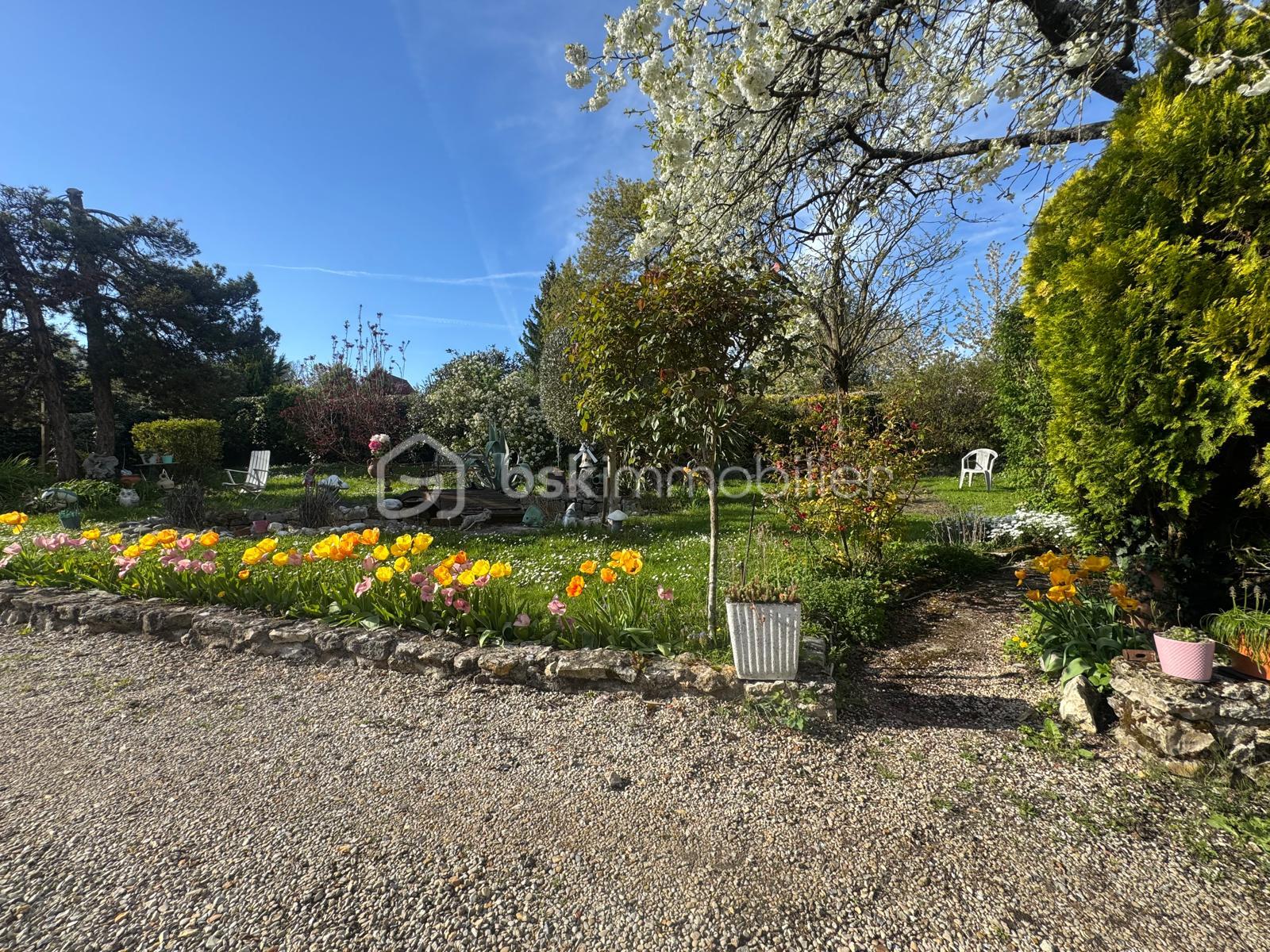 WhatsApp Image 2026-04-14 at 11.40.40 (9).jpeg