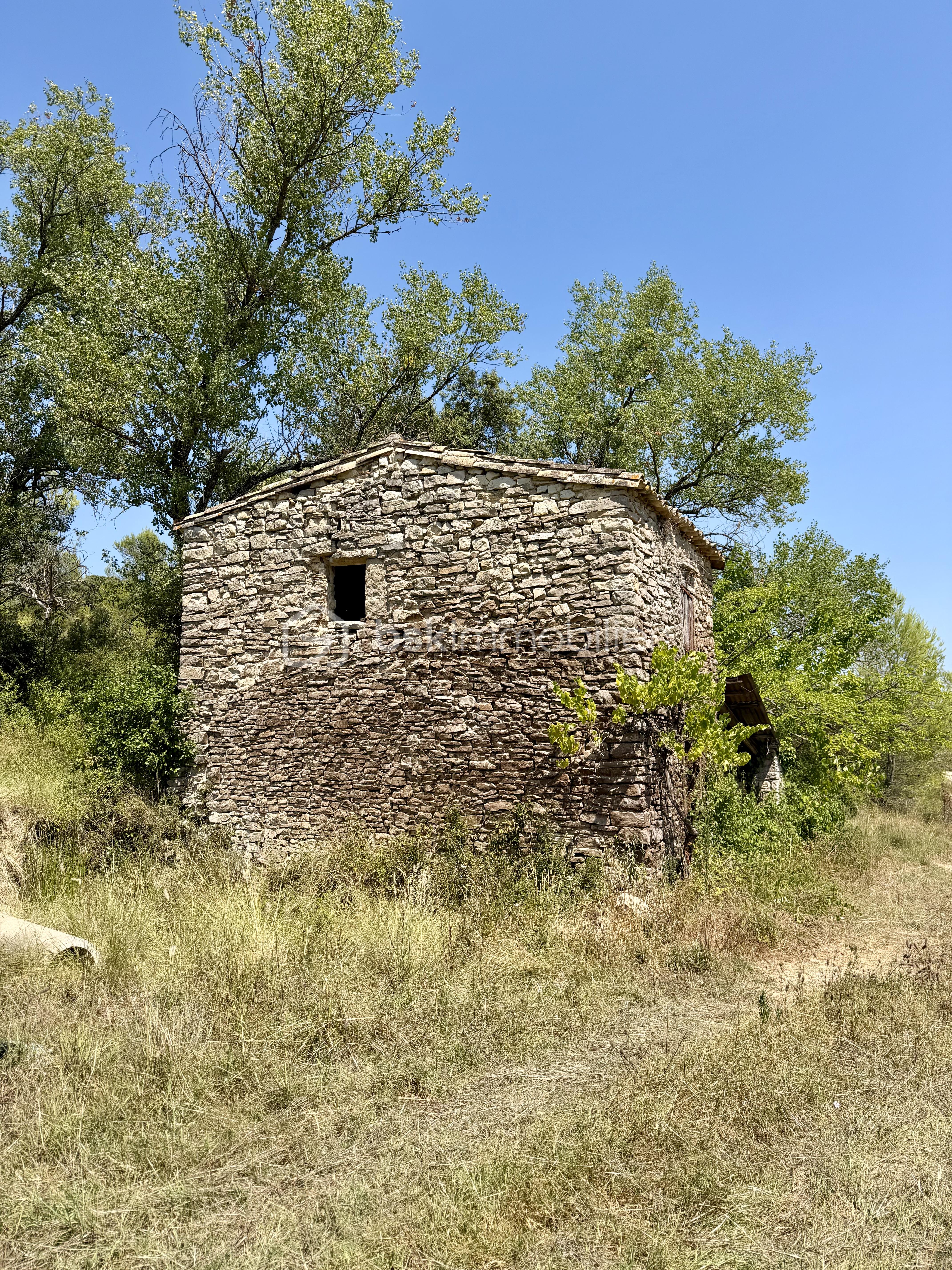 IMG_7319.jpeg