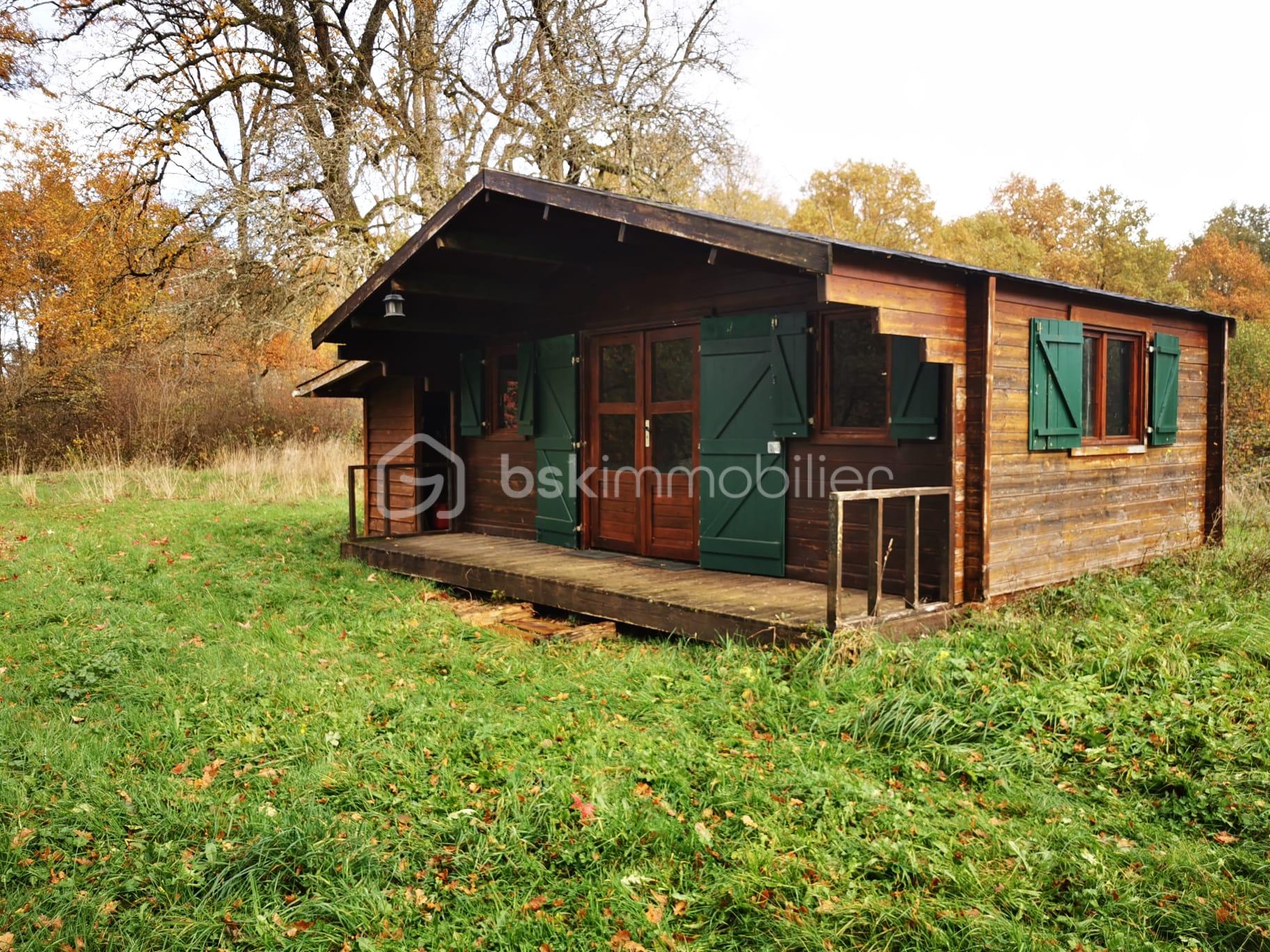 WhatsApp Image 2025-11-04 at 13.48.54.jpeg