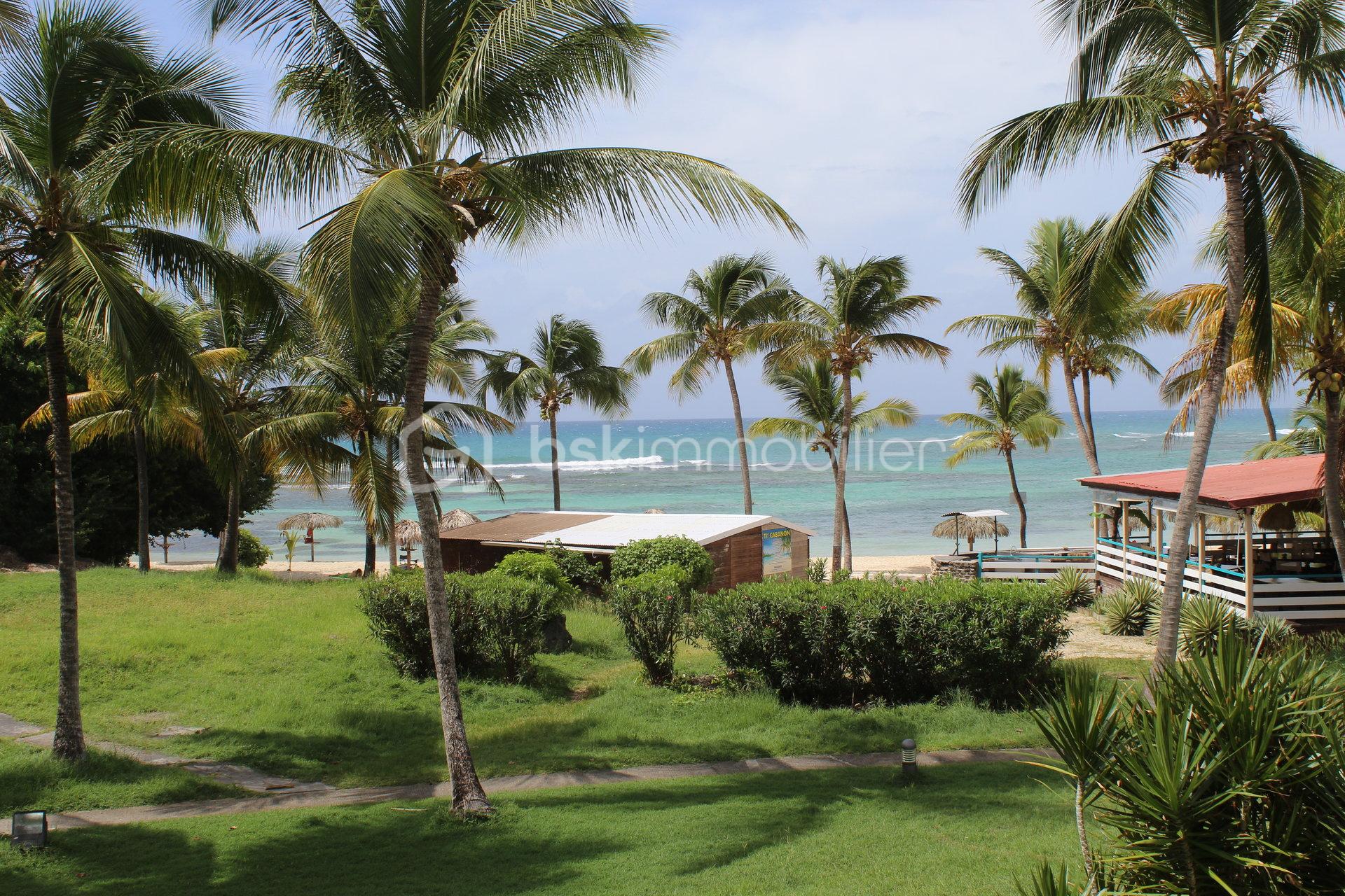 Appartement de 29,37 m² - adr cocoteraie.jpg