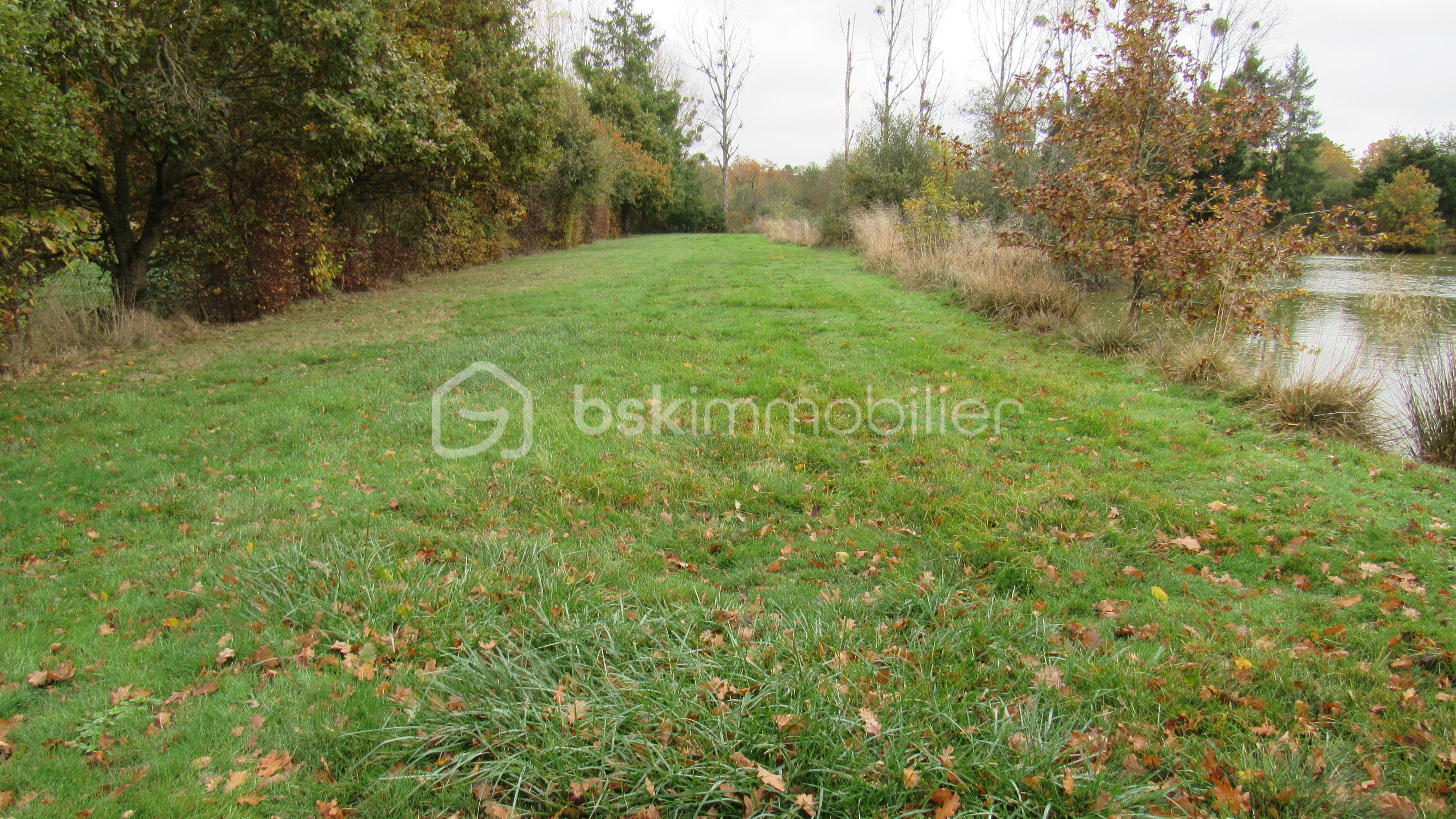 Terrain de loisirs de 16 985 m² - IMG_4709.JPG