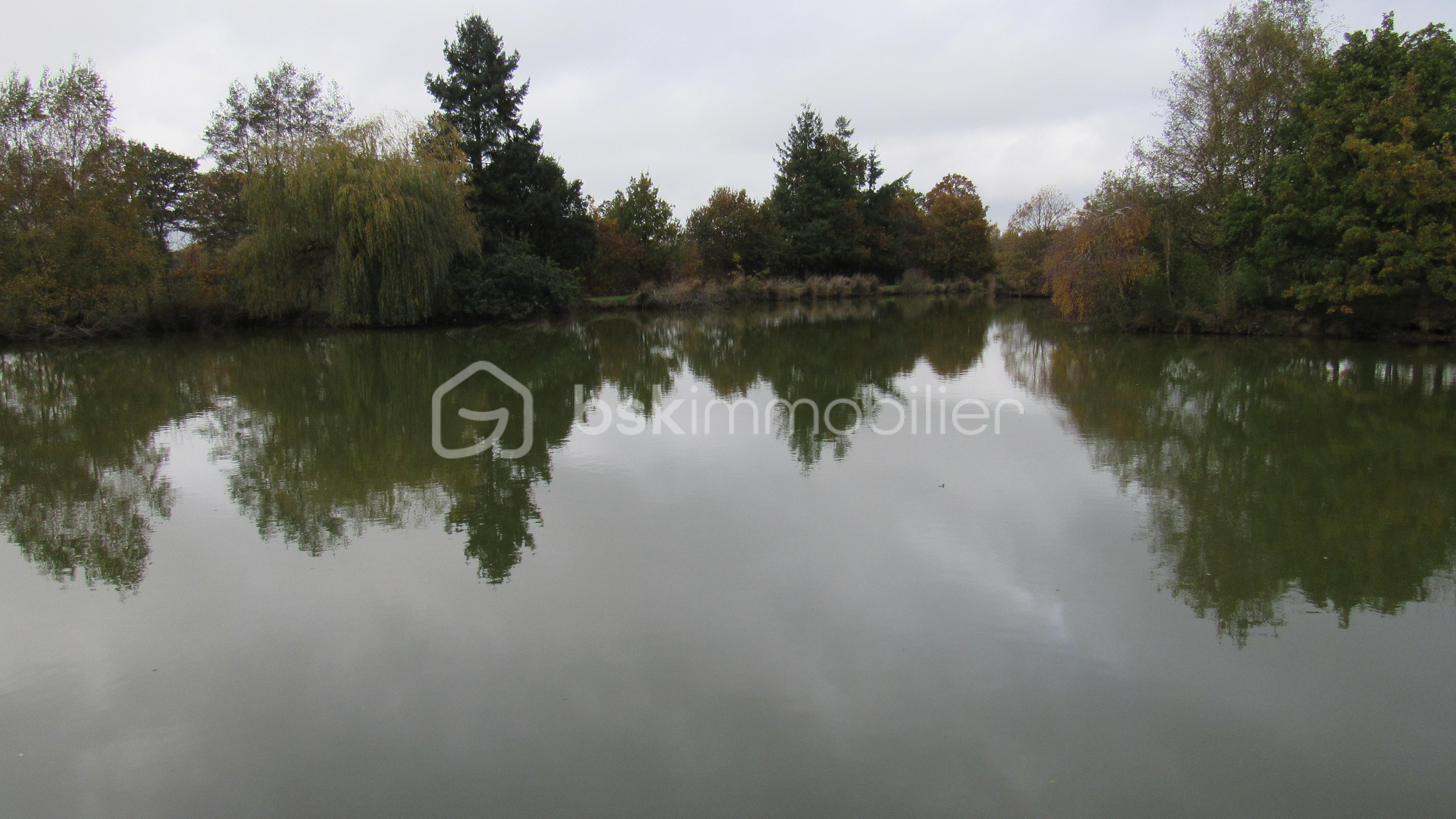 Terrain de loisirs de 16 985 m² - IMG_4717.JPG