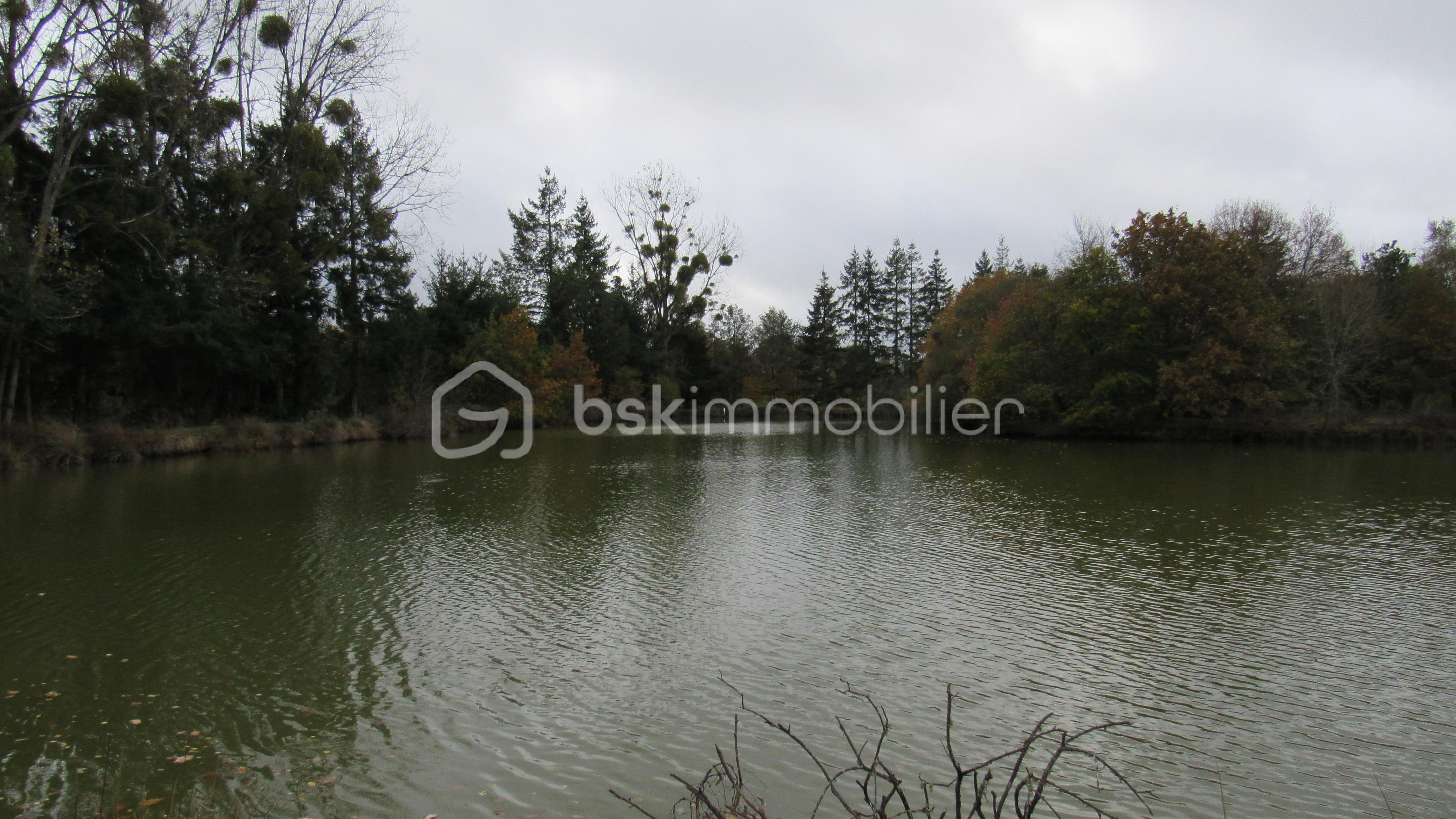 Terrain de loisirs de 16 985 m² - IMG_4710.JPG