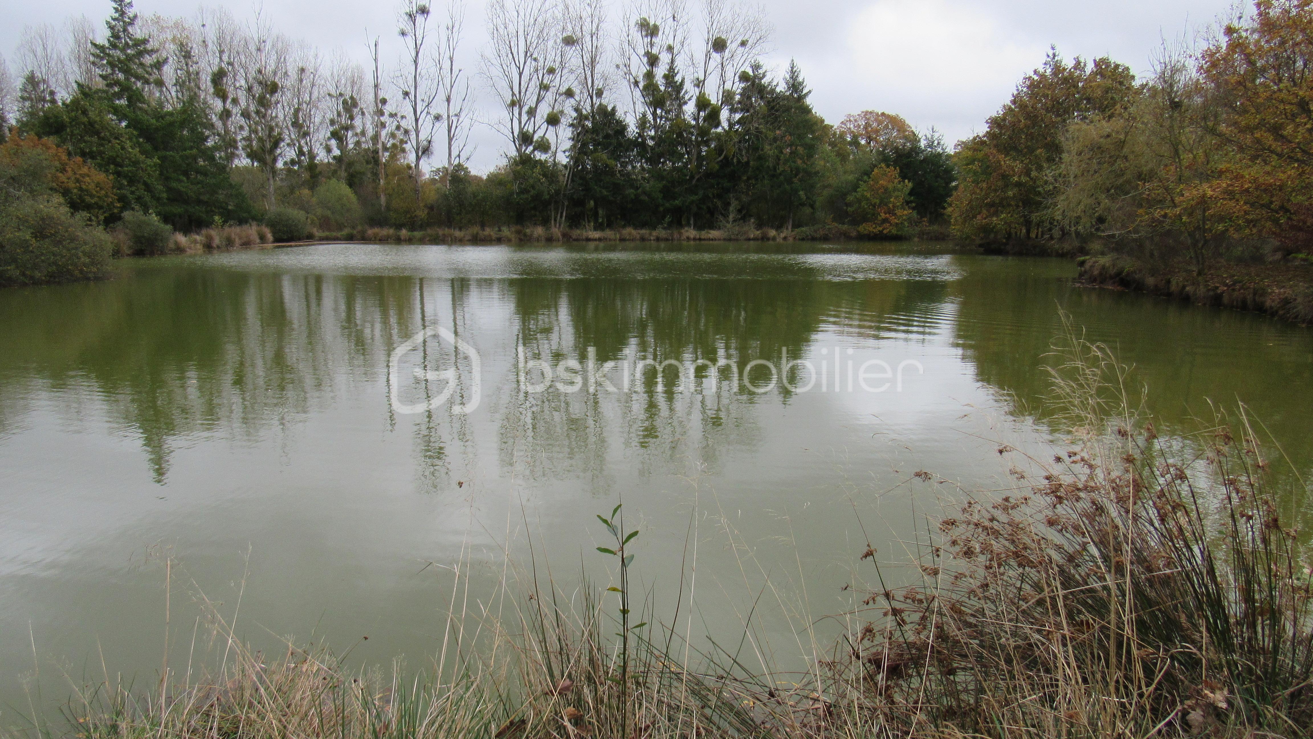 Terrain de loisirs de 16 985 m² - IMG_4708.JPG