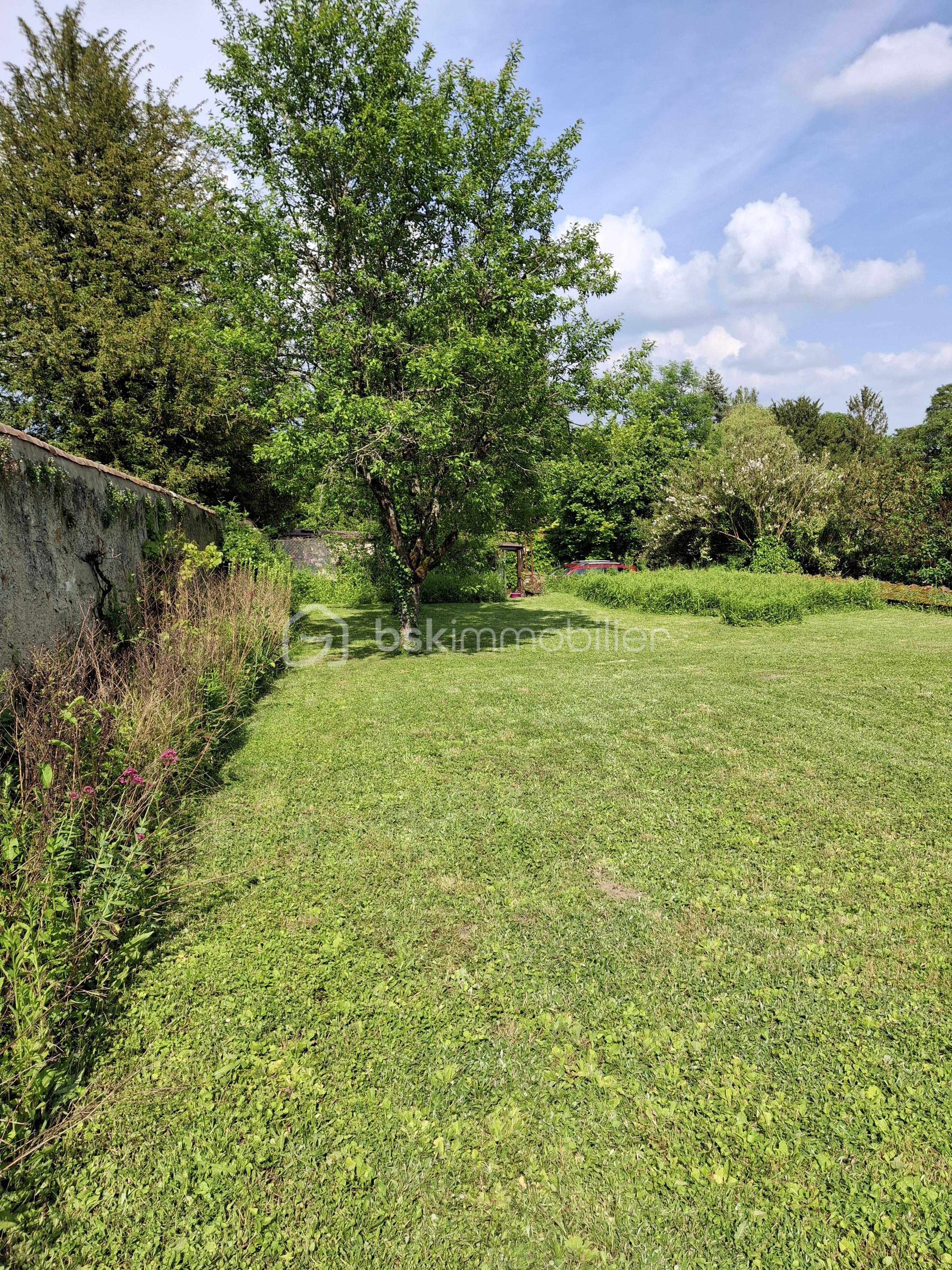 terrain.jpg