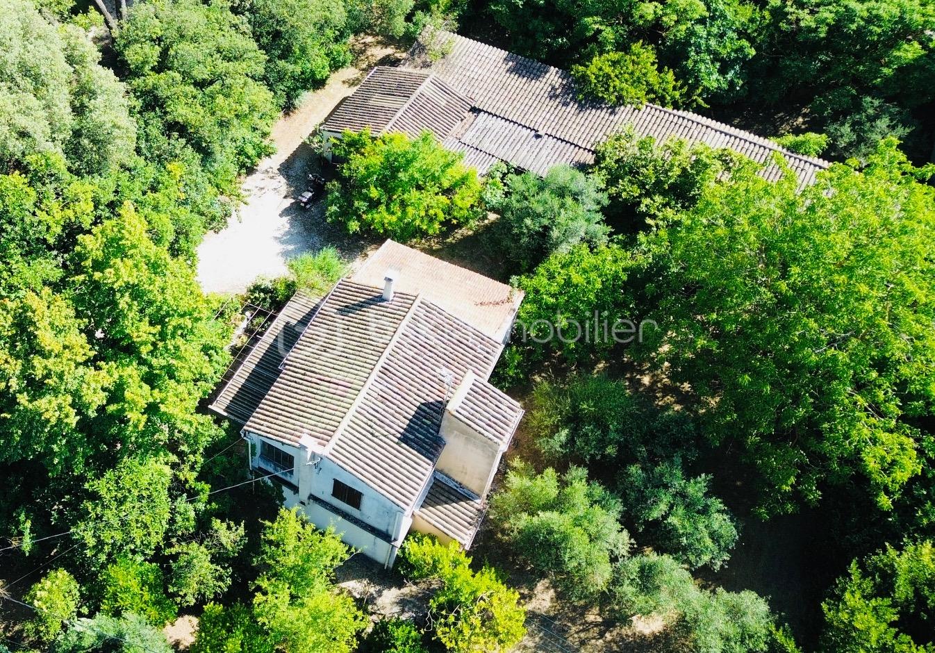 DJI_0061.jpg