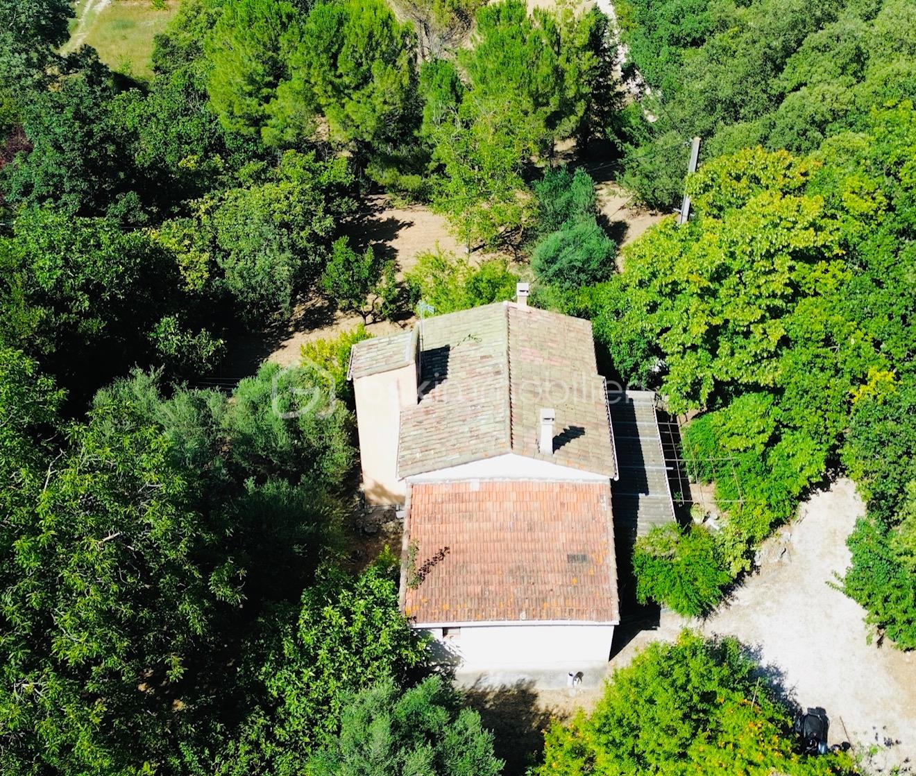 DJI_0049.jpg