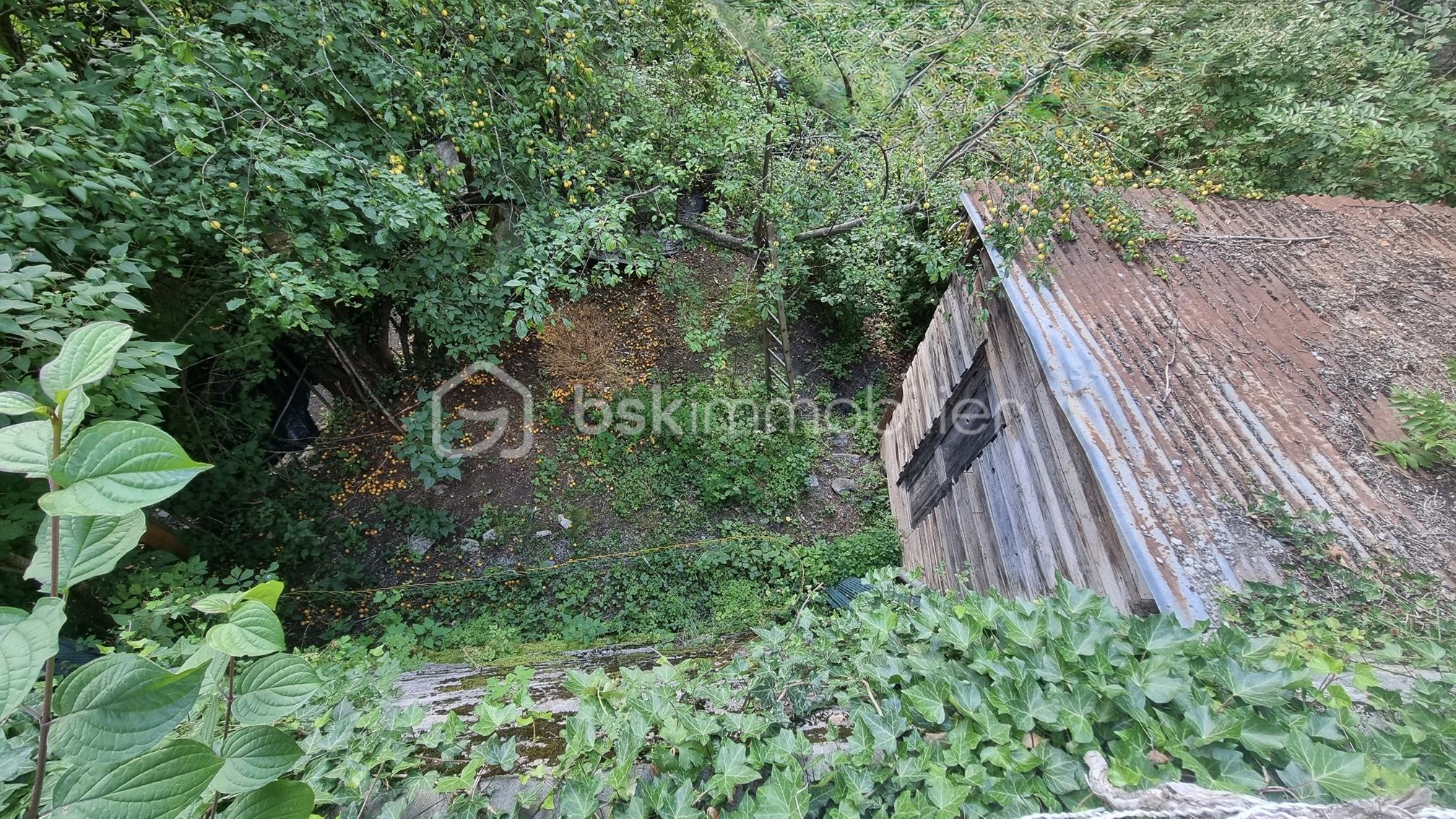 Maison ancienne de 44,40 m² - Garden 2 from above.jpg