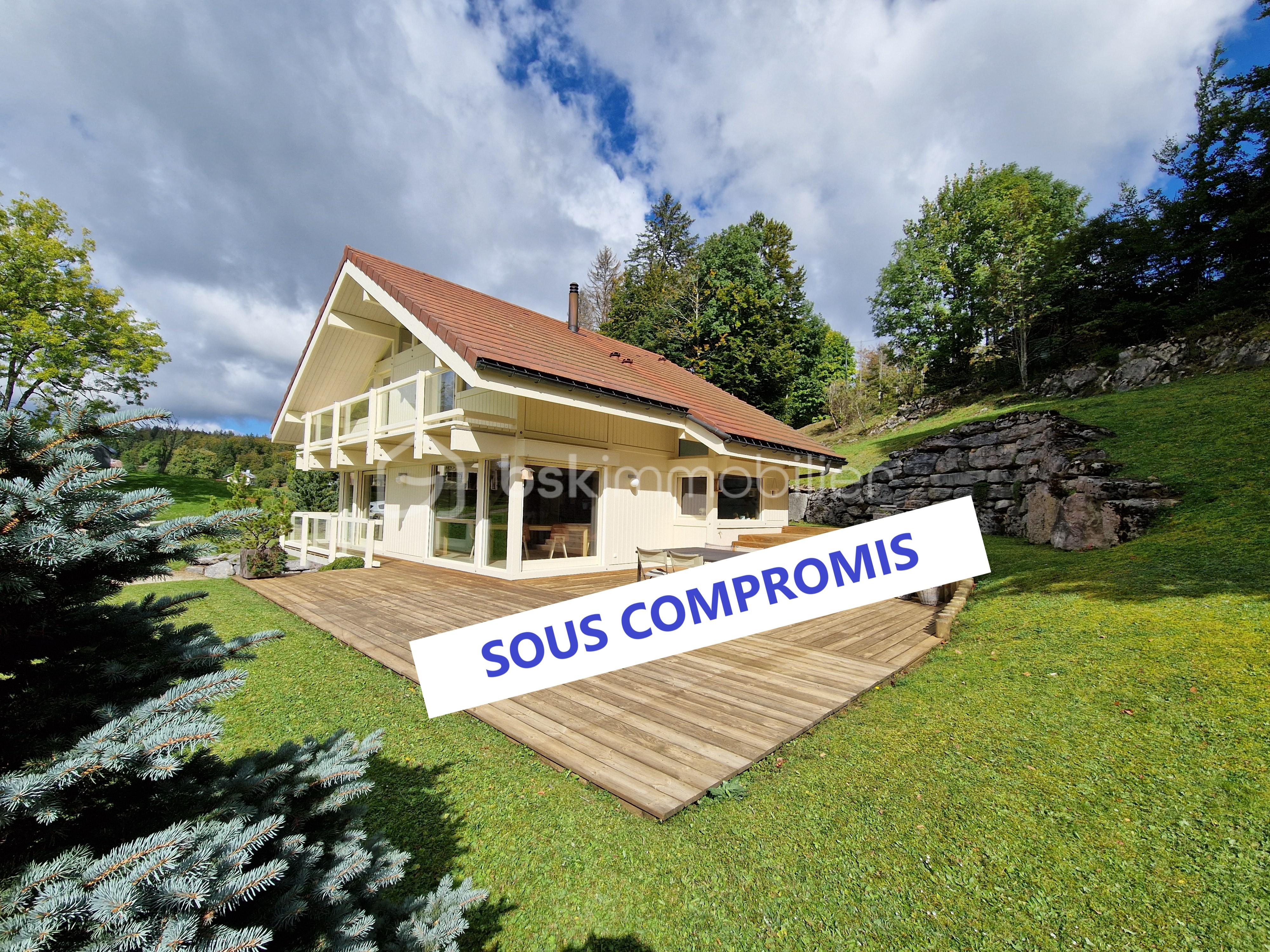 SOUS COMPROMIS.jpg