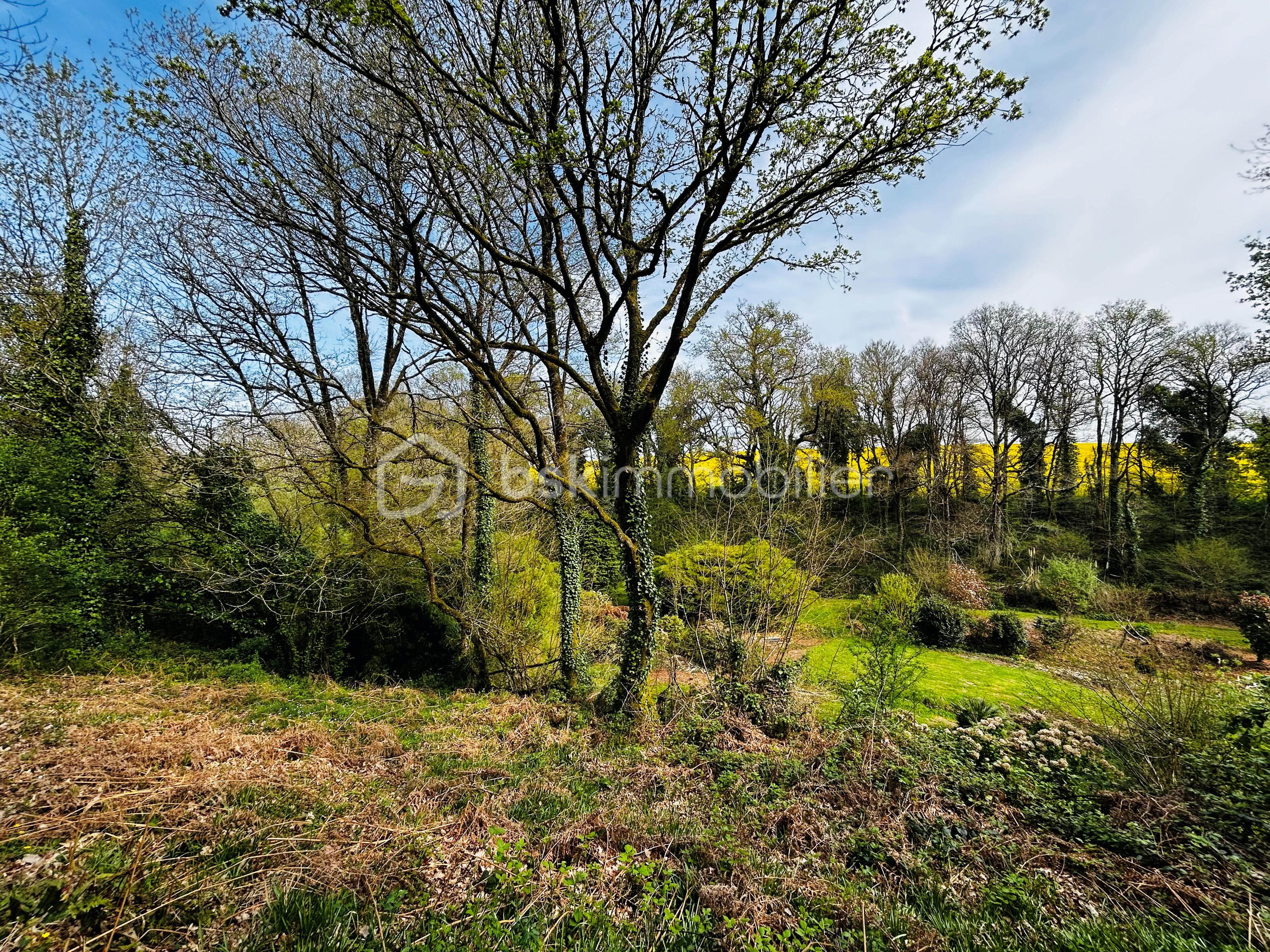 JARDIN 5.jpg