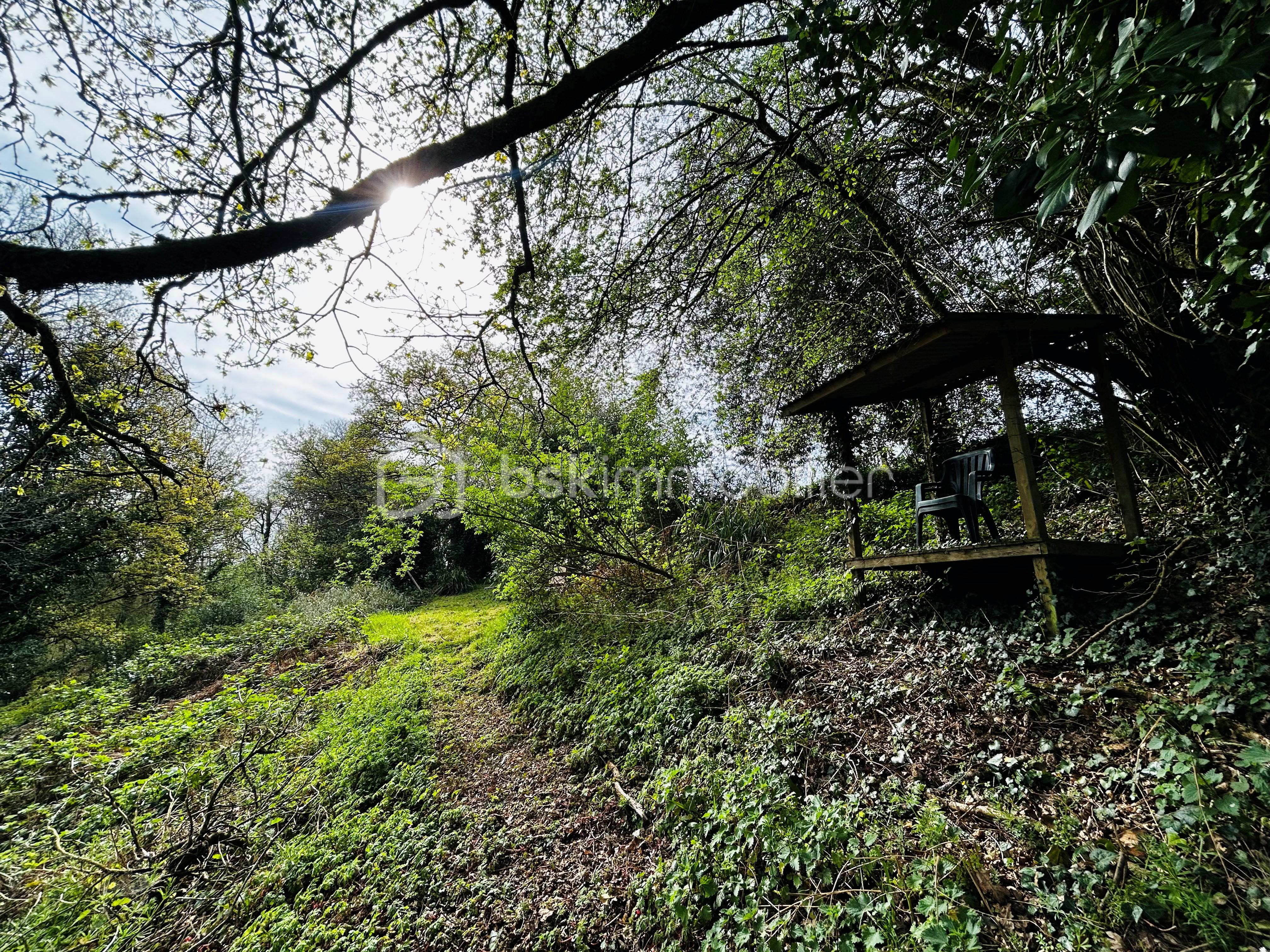 JARDIN 3.jpg