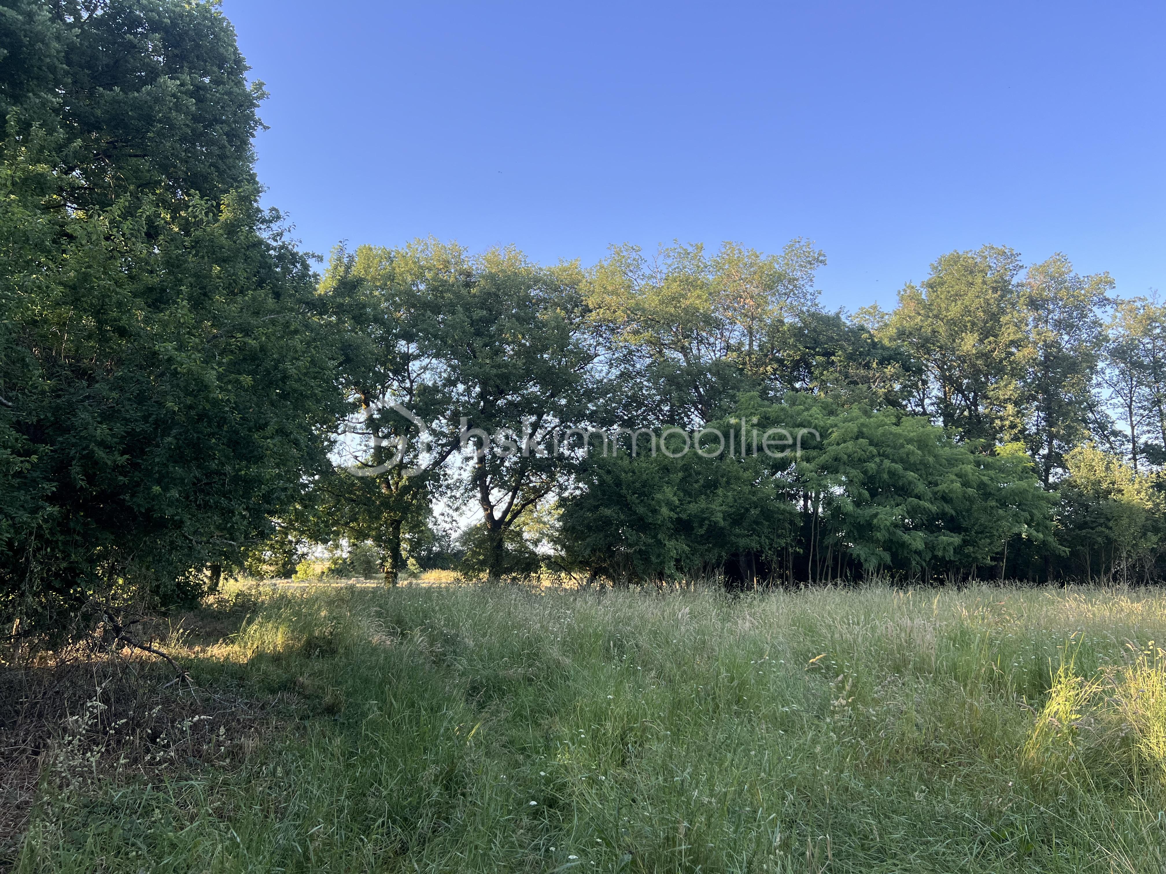 IMG_1526.jpeg