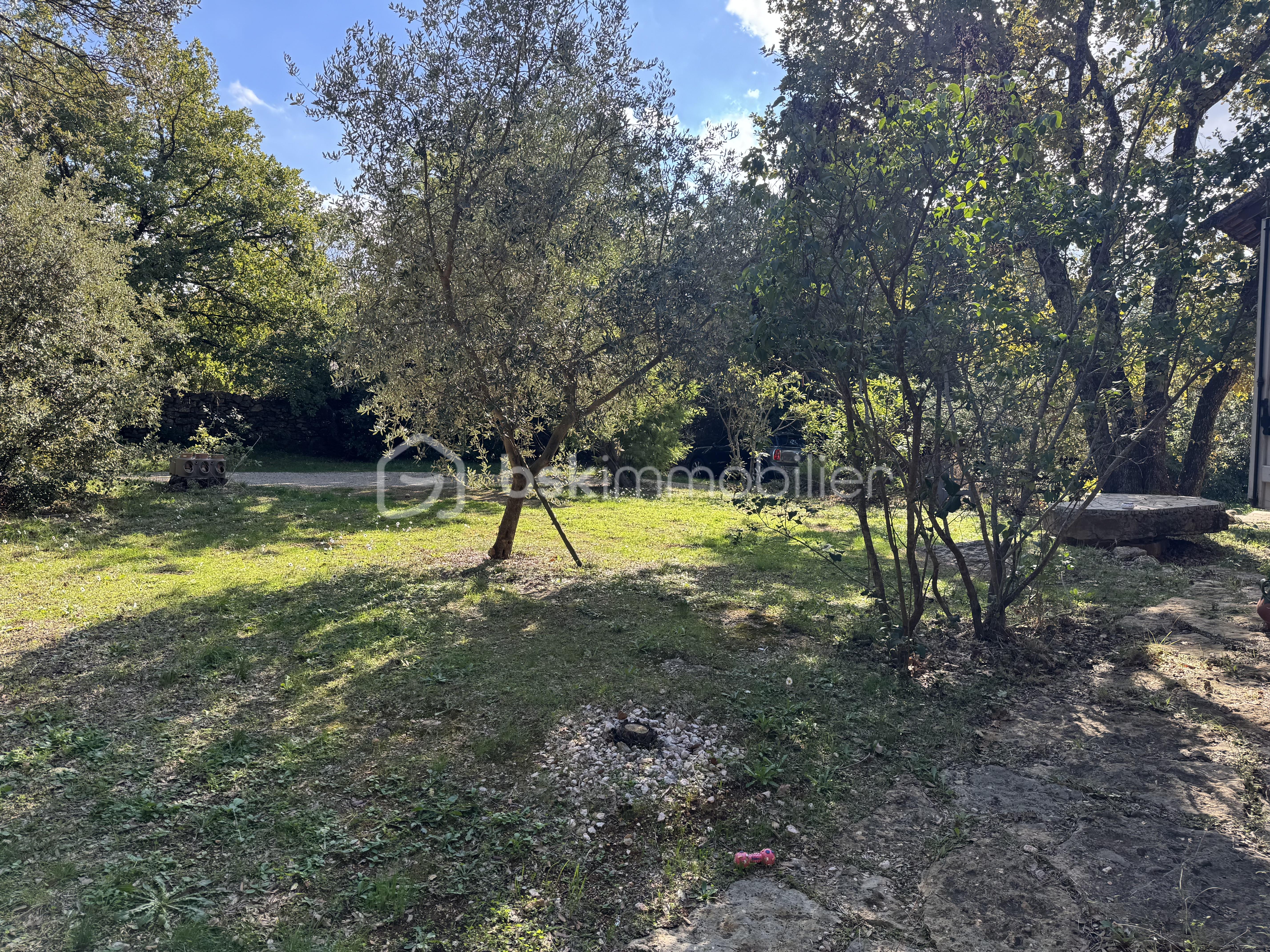 IMG_7526.jpeg