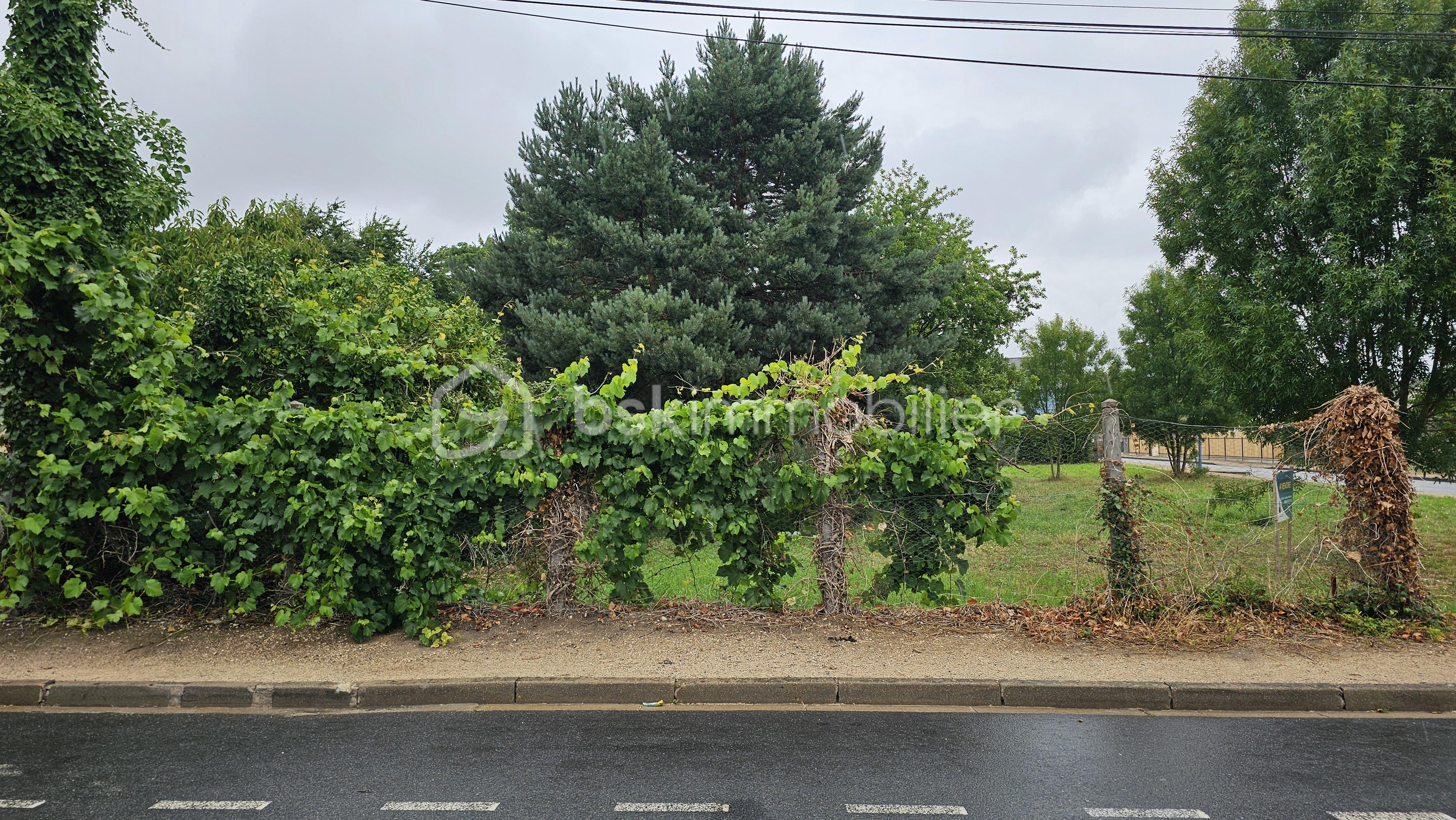 Terrain de 304 m² - 4.jpg