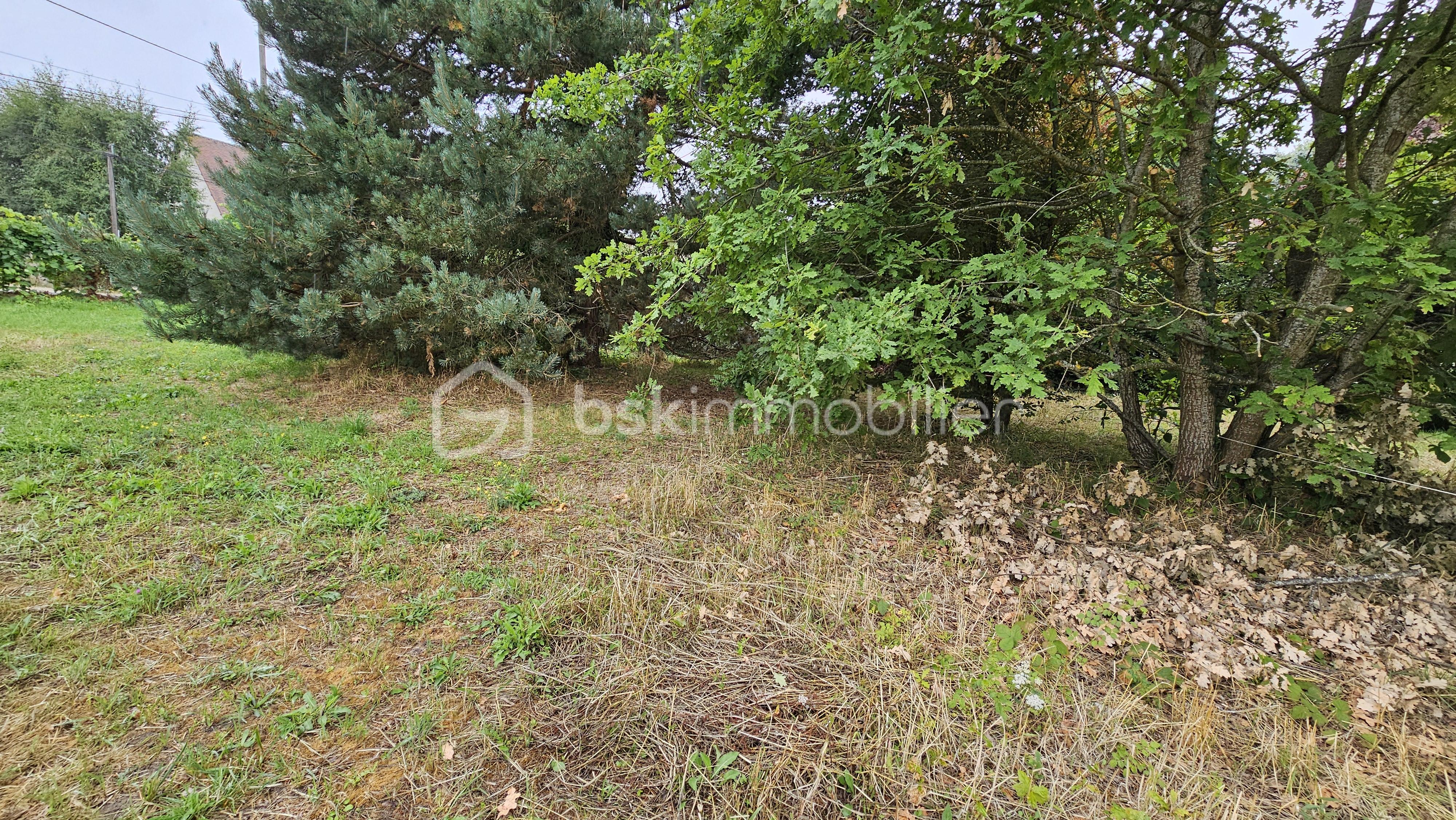 Terrain de 304 m² - 2.jpg