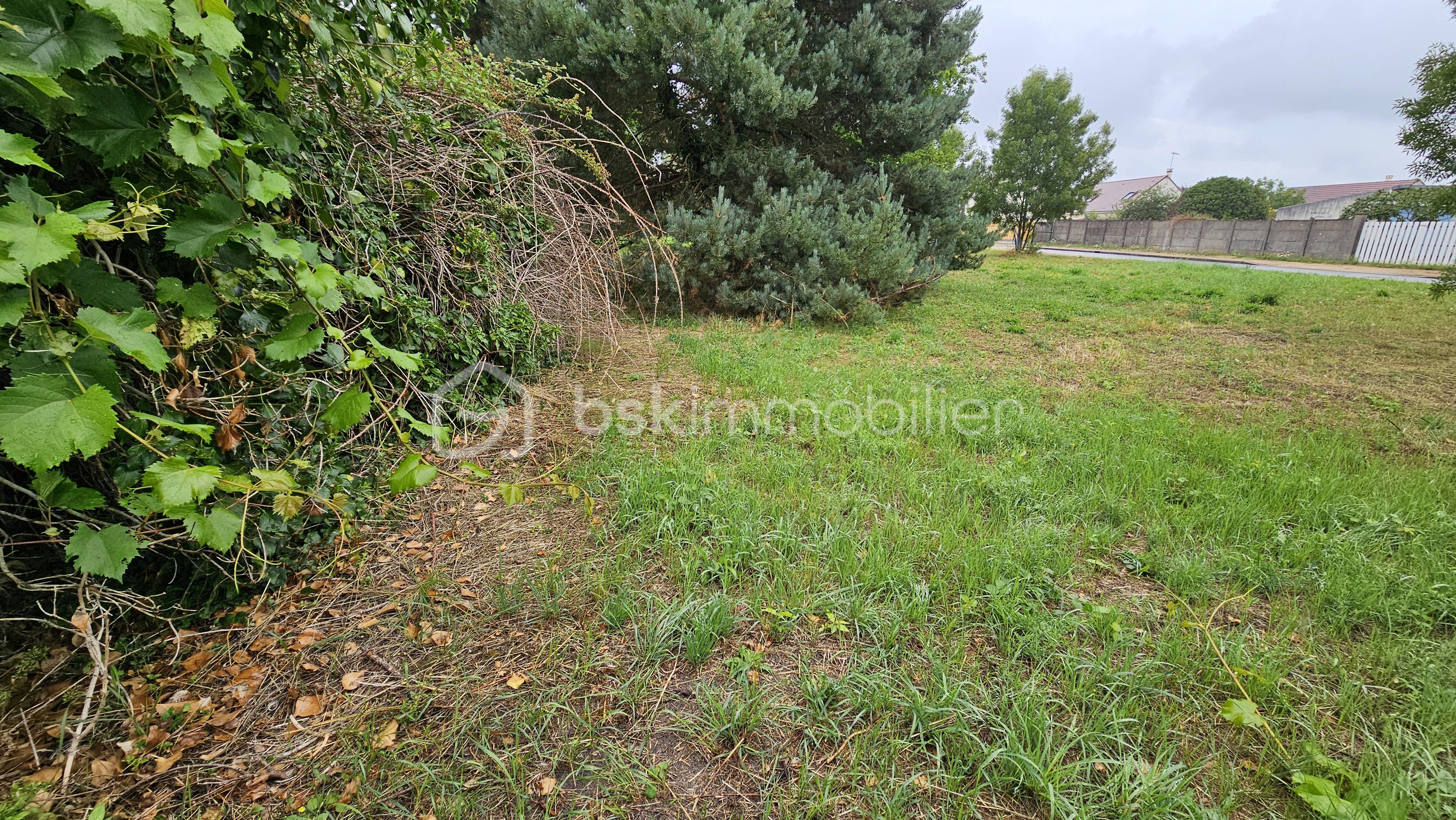 Terrain de 304 m² - 5.jpg