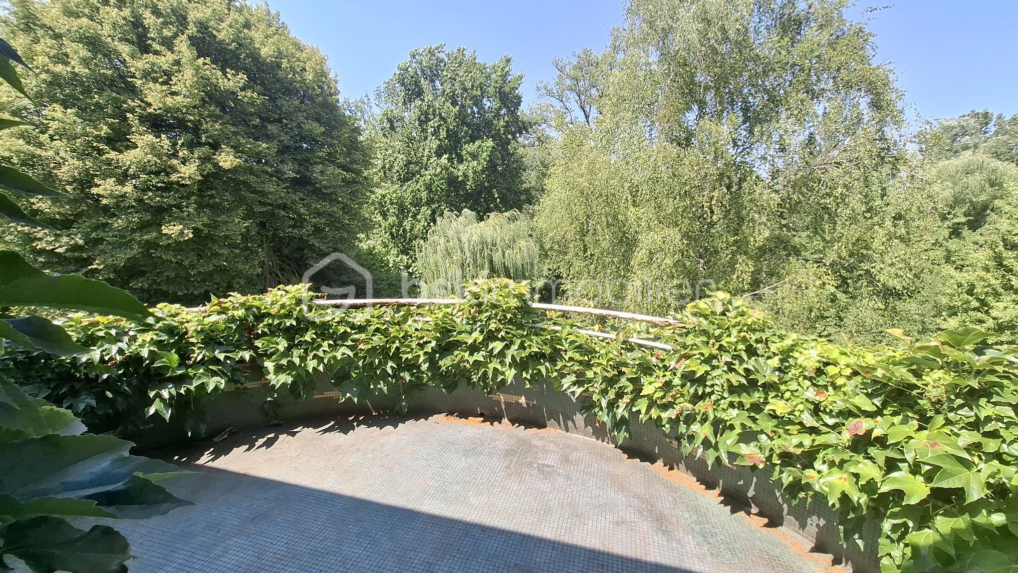 1000048045.jpg