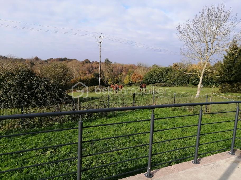 Maison traditionnelle de 102 m² - chevaux.jpg