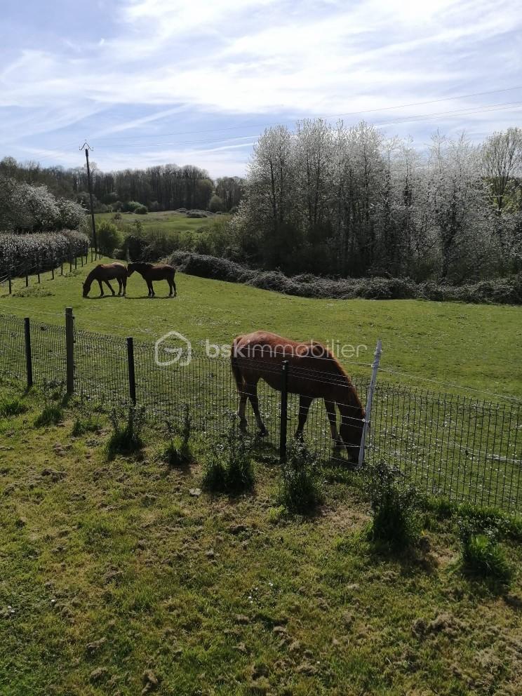 Maison traditionnelle de 102 m² - chevaux.jpg1.jpg
