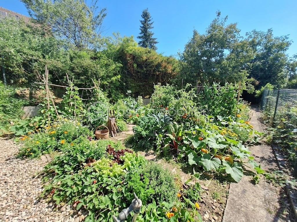 JARDIN.jpg