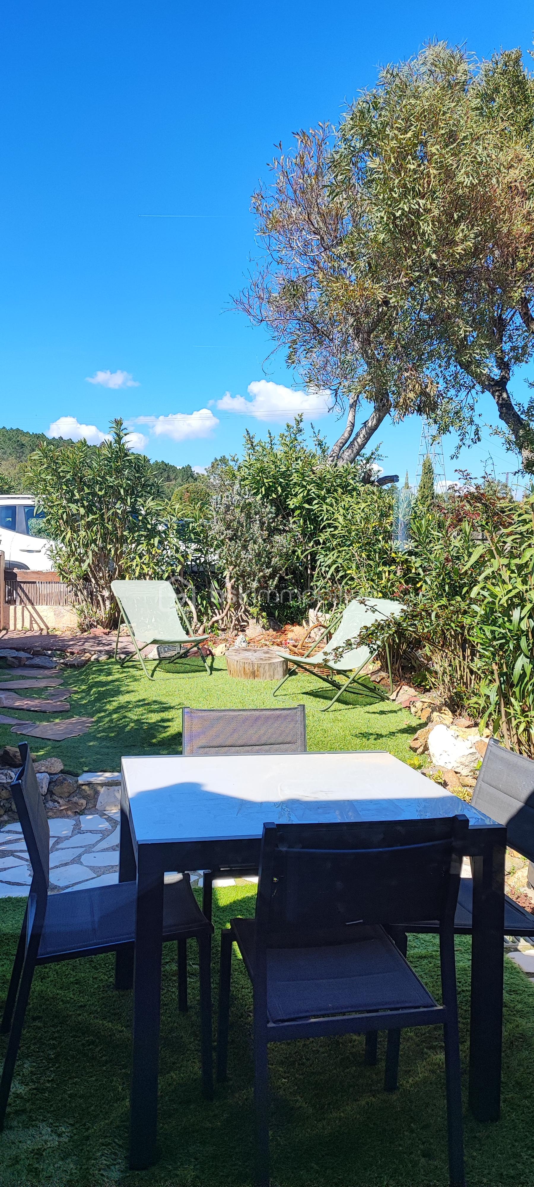 thierrin vue J 2.jpg