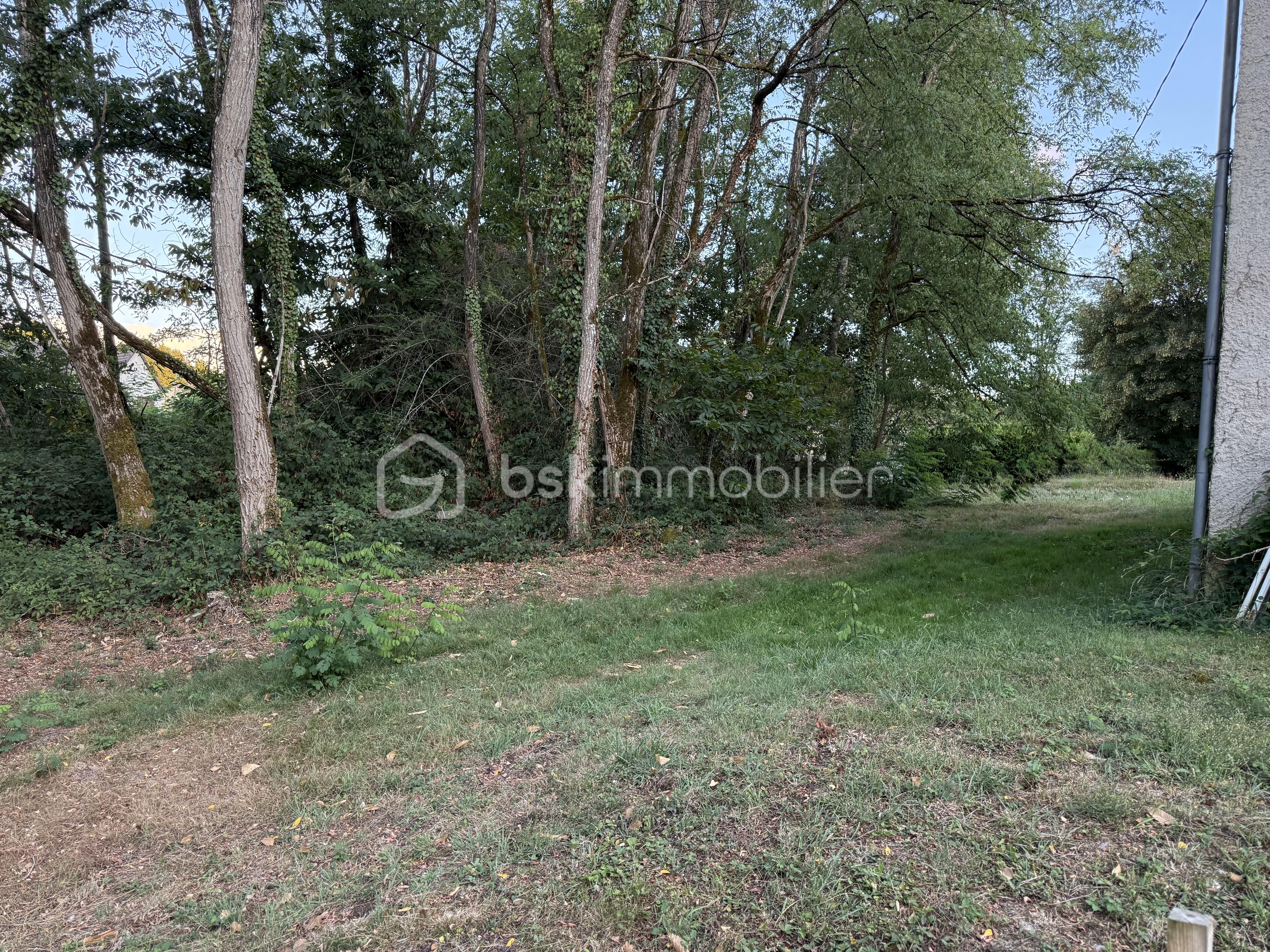Terrain de 1 760 m² - IMG_0176.jpg