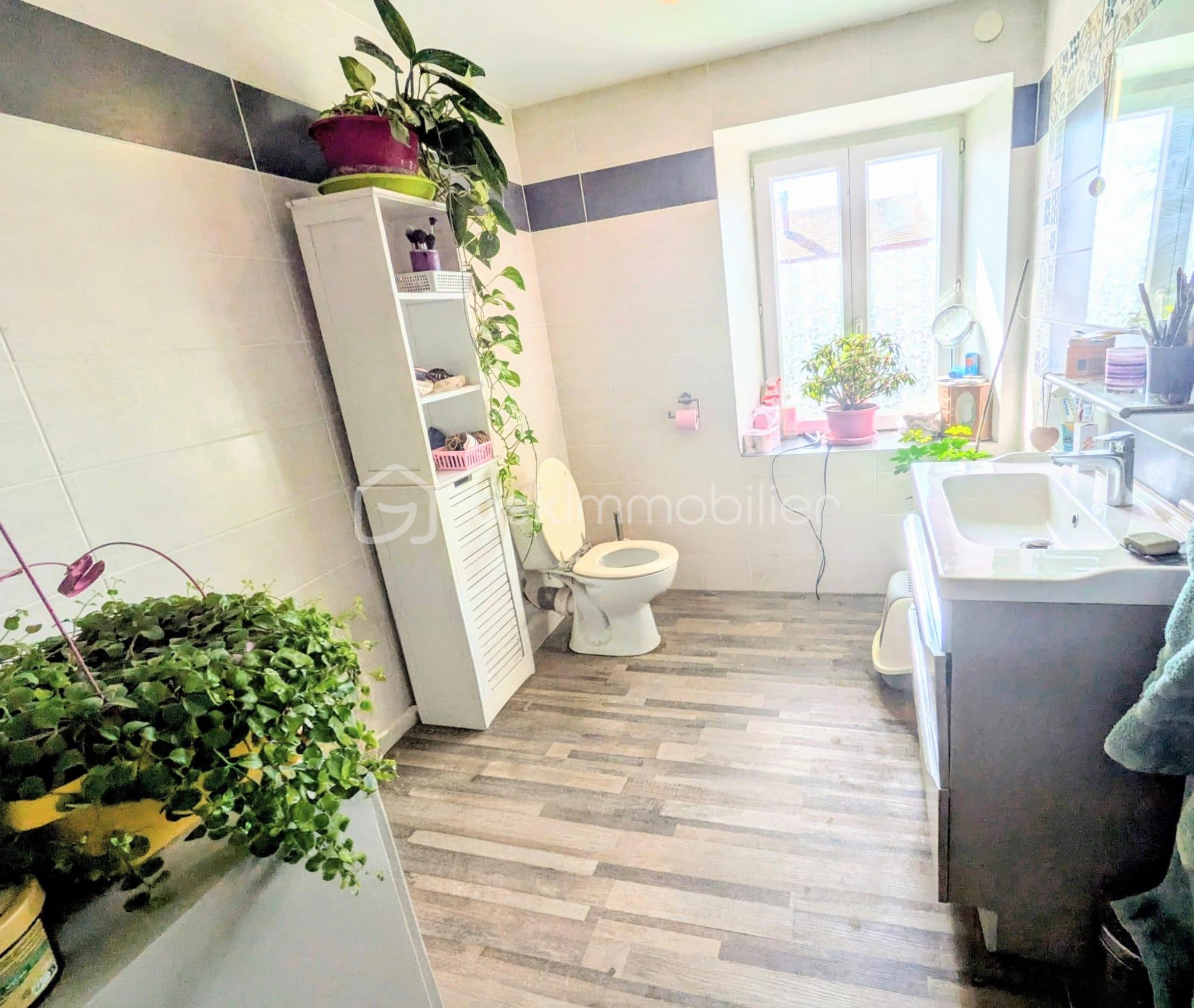 WhatsApp Image 2026-04-02 at 07.58.11 (4).jpeg