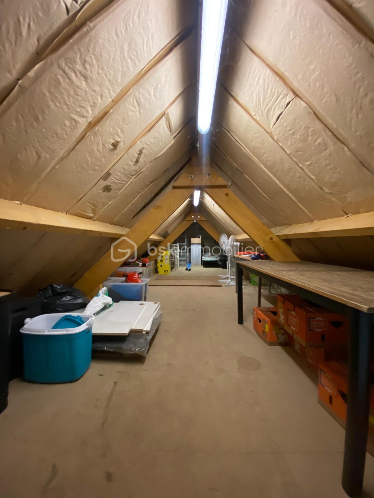 WhatsApp Image 2026-02-20 at 12.06.35.jpeg