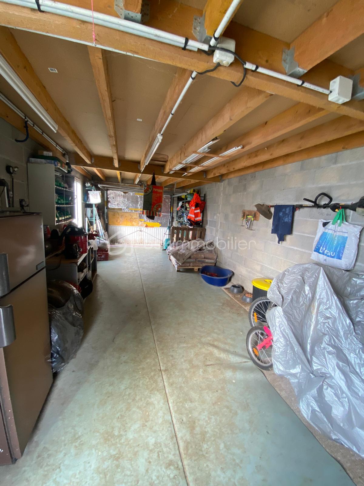 WhatsApp Image 2026-02-20 at 12.06.35 (5).jpeg