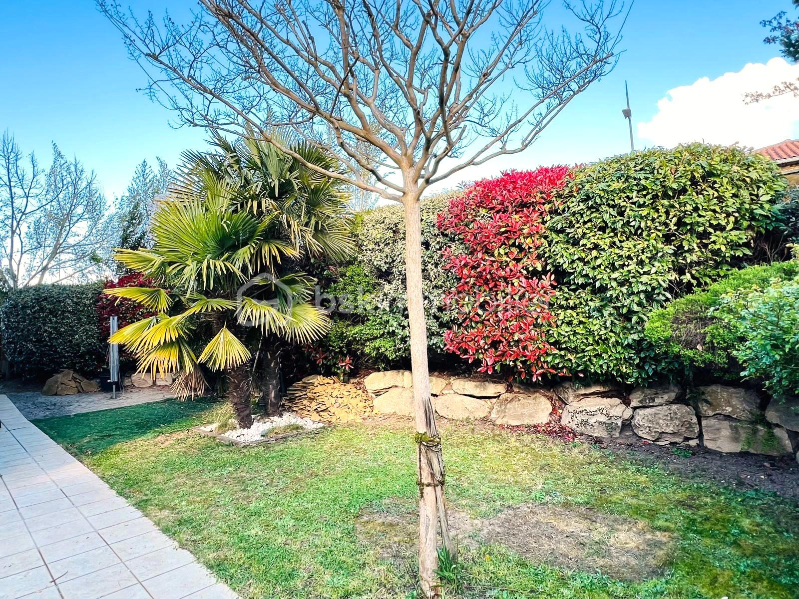 JARDIN COTE EST.jpeg