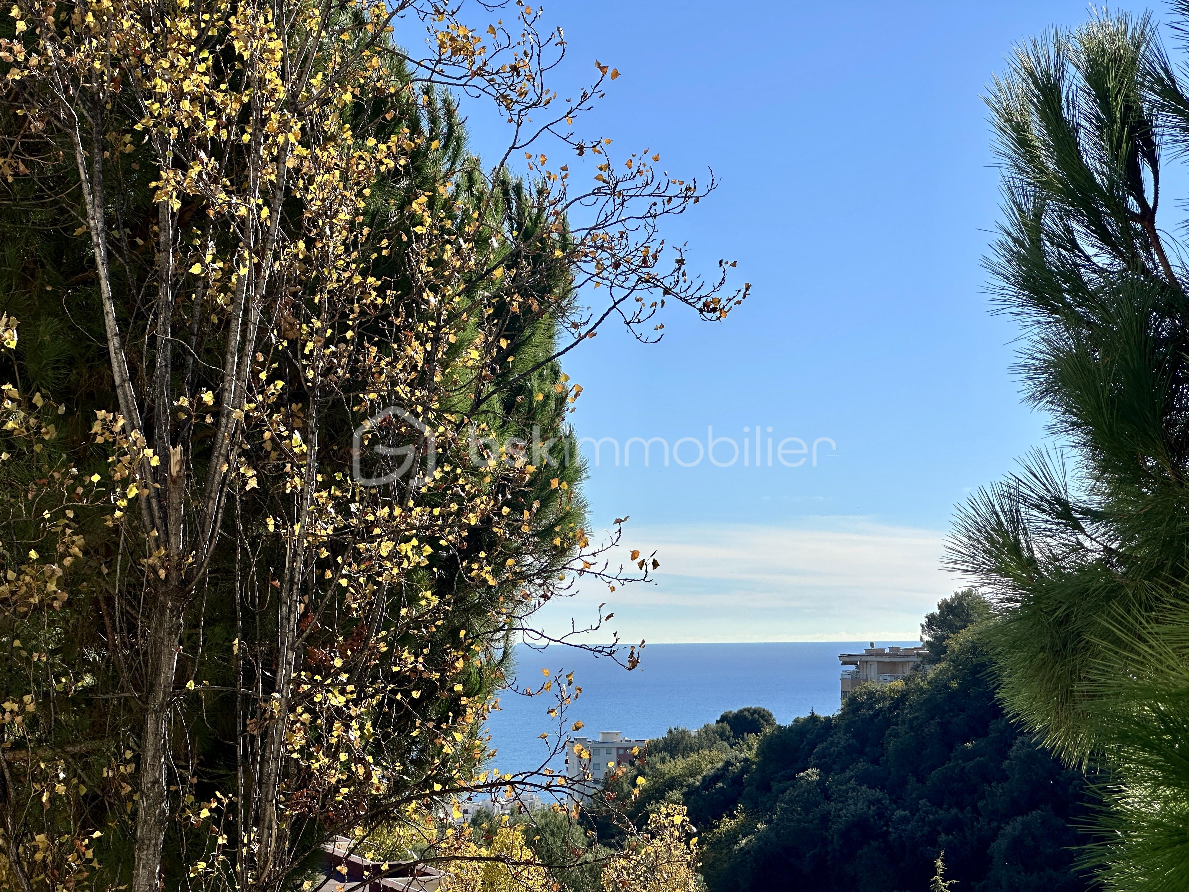 Appartement de 58,95 m² - APERCU MER.jpg