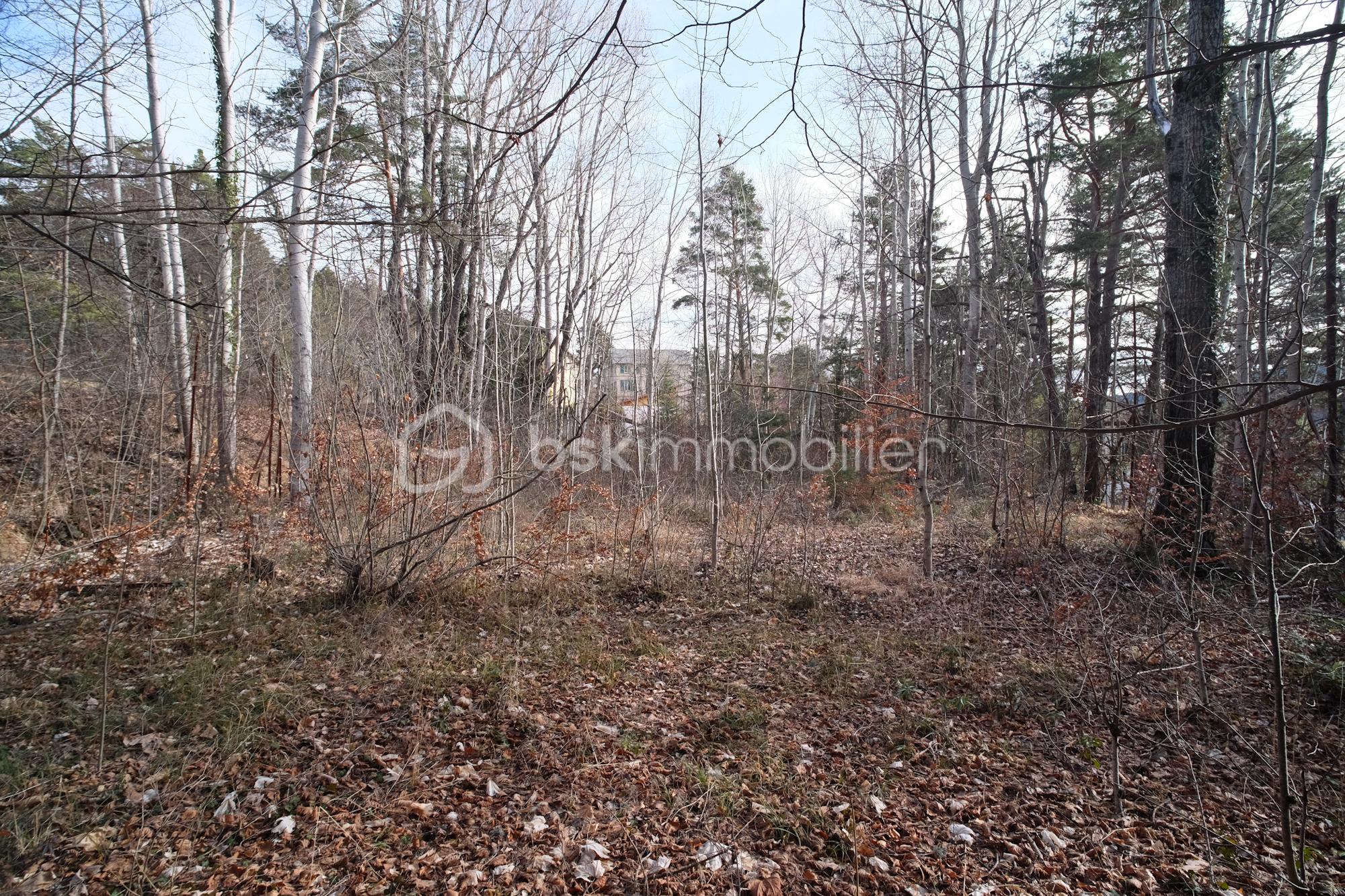 Terrain de 1 370 m² - Terrain_Thorenc-9.jpg