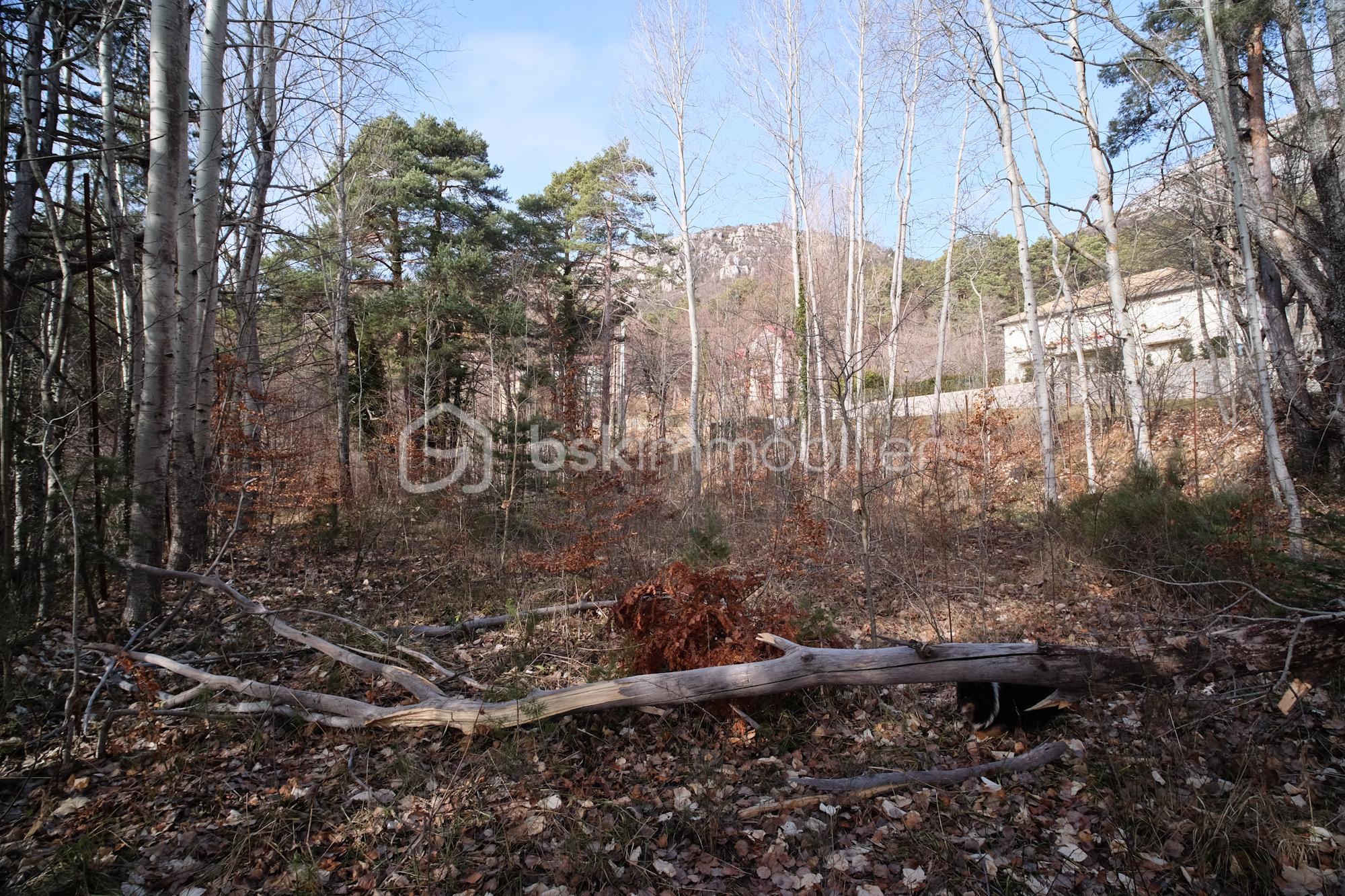 Terrain de 1 370 m² - Terrain_Thorenc-5.jpg