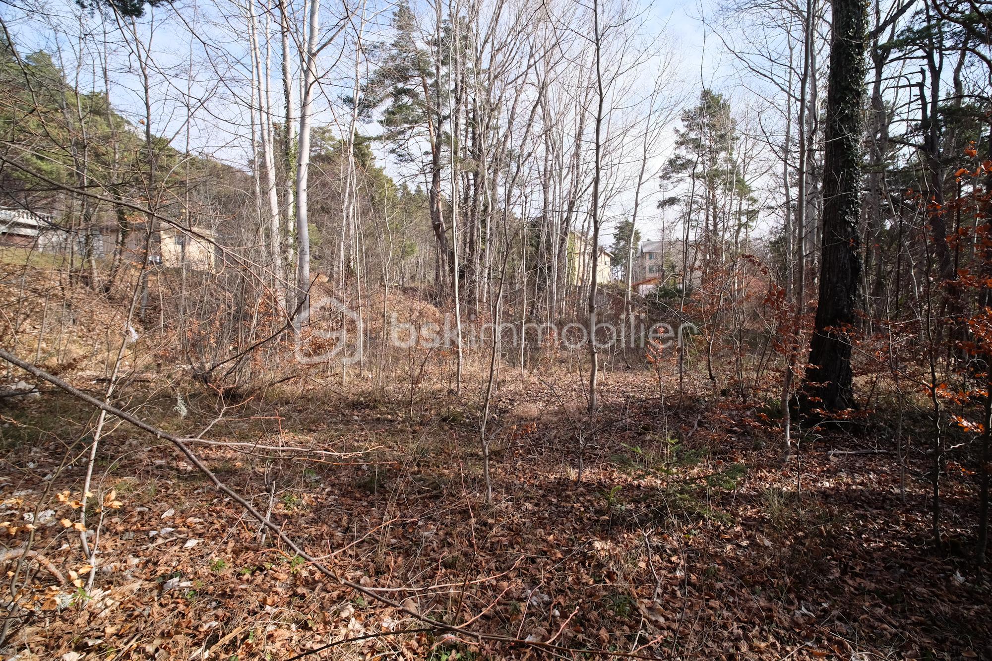 Terrain de 1 370 m²