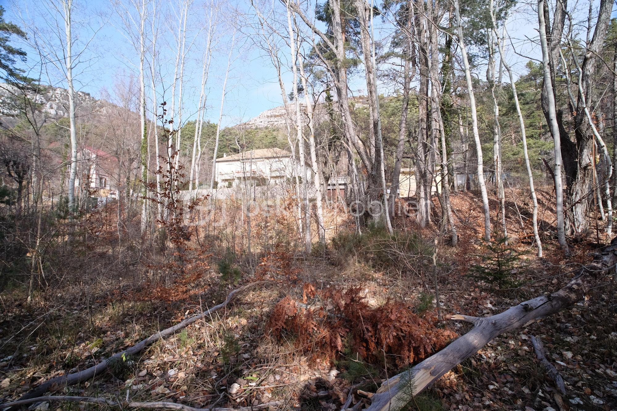 Terrain de 1 370 m² - Terrain_Thorenc-6.jpg