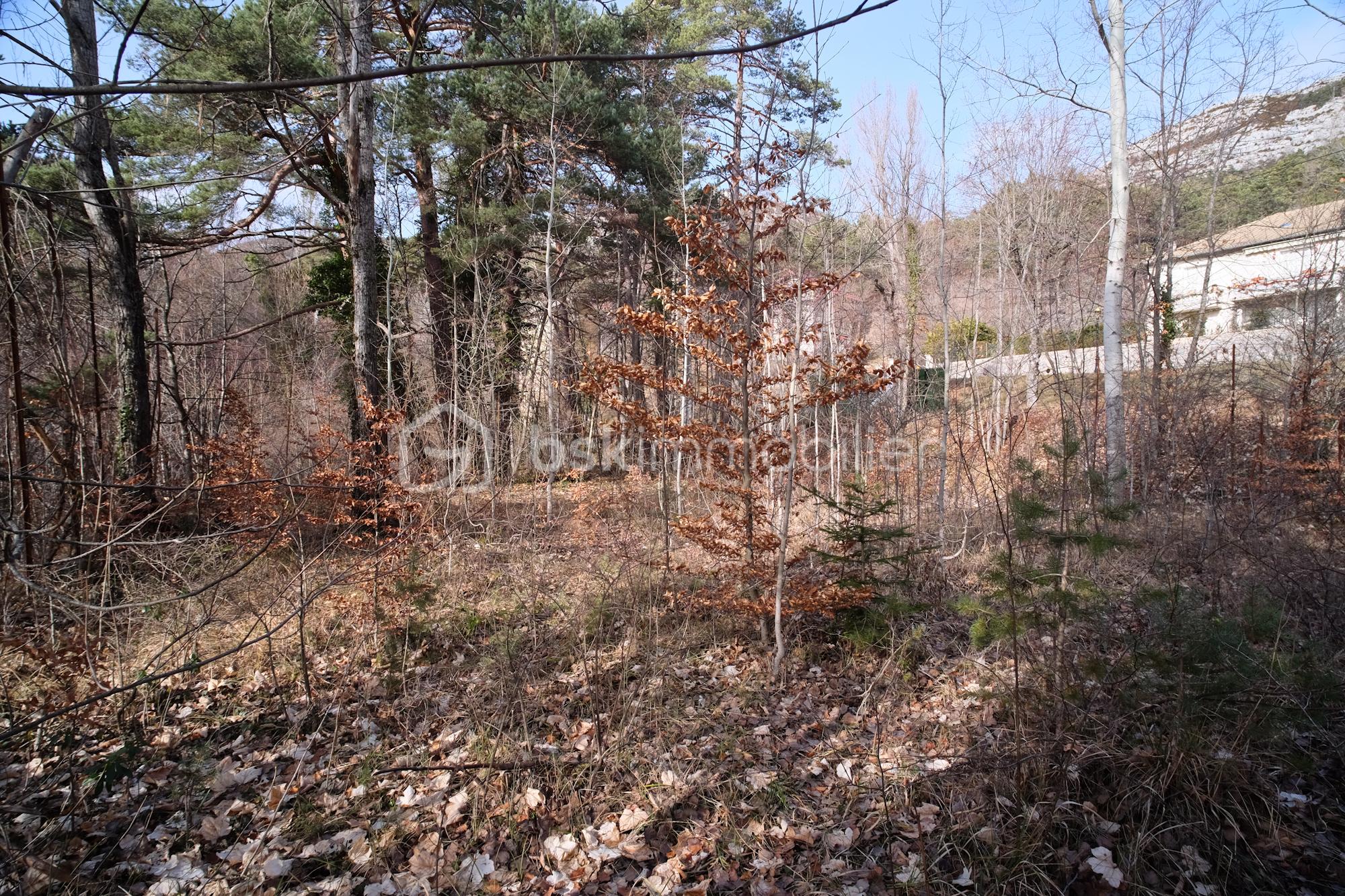 Terrain de 1 370 m² - Terrain_Thorenc-7.jpg