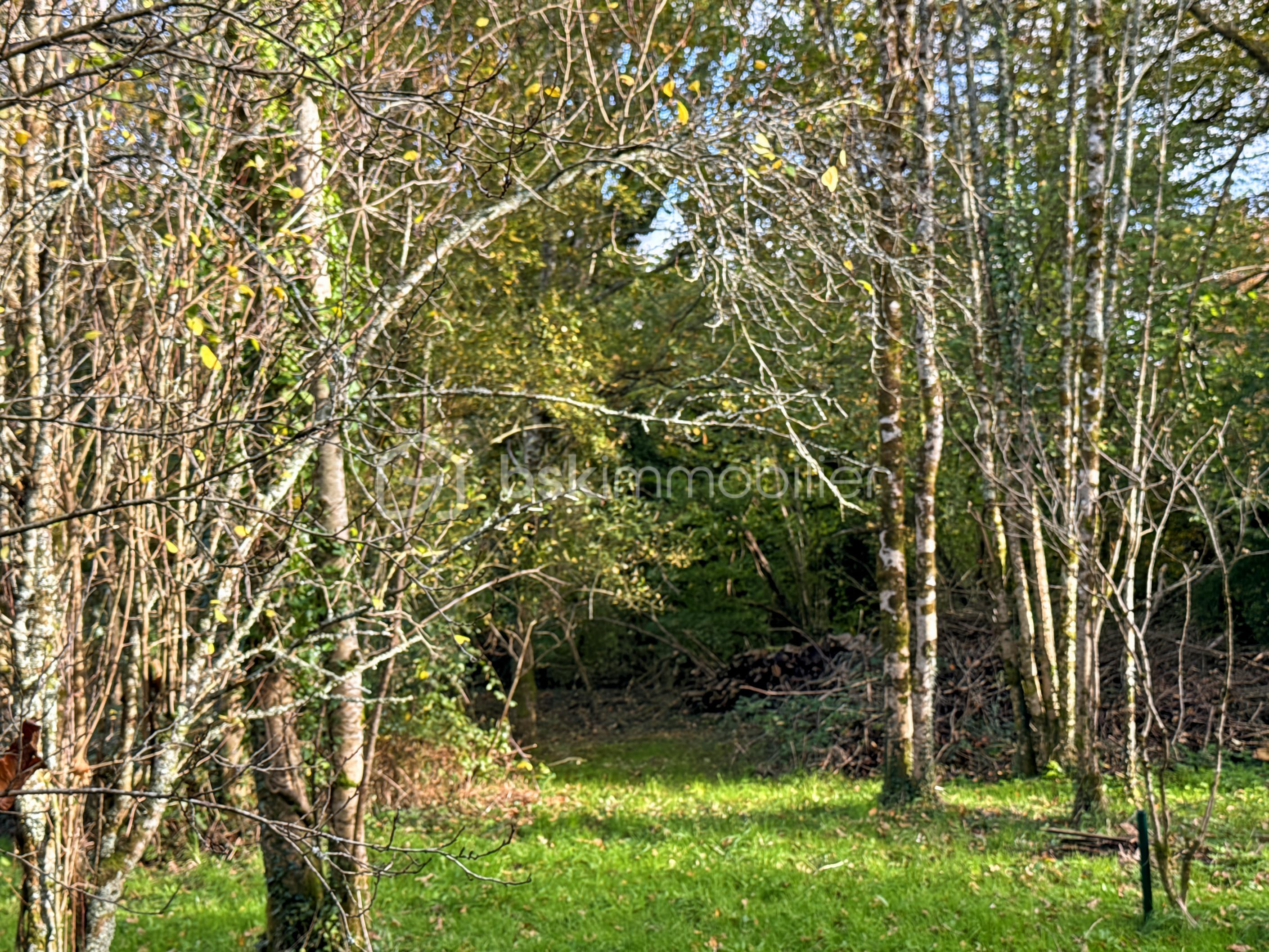 Terrain de 26 565 m² - Photo_7_6b31.jpg