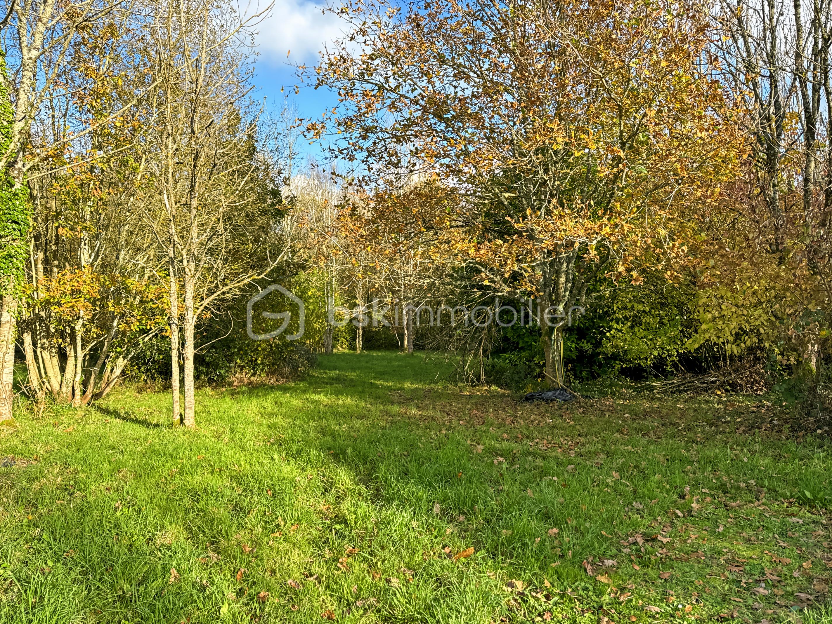 Terrain de 26 565 m² - Photo_4_f35c.jpg