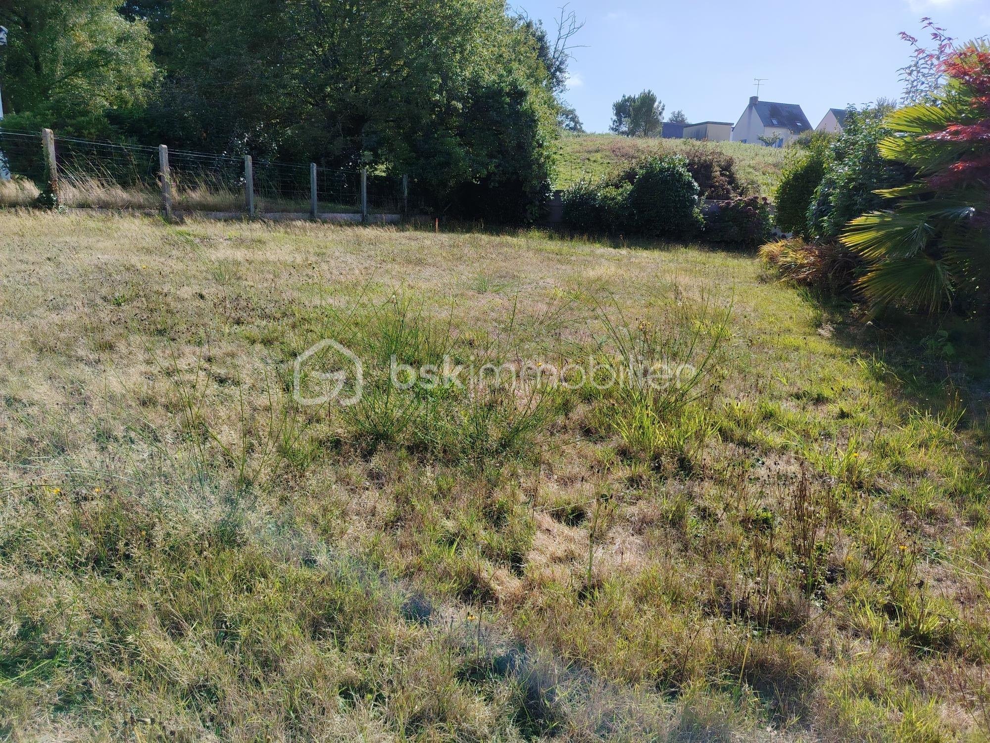Terrain de 431 m² - IMG_20250903_170521.jpg