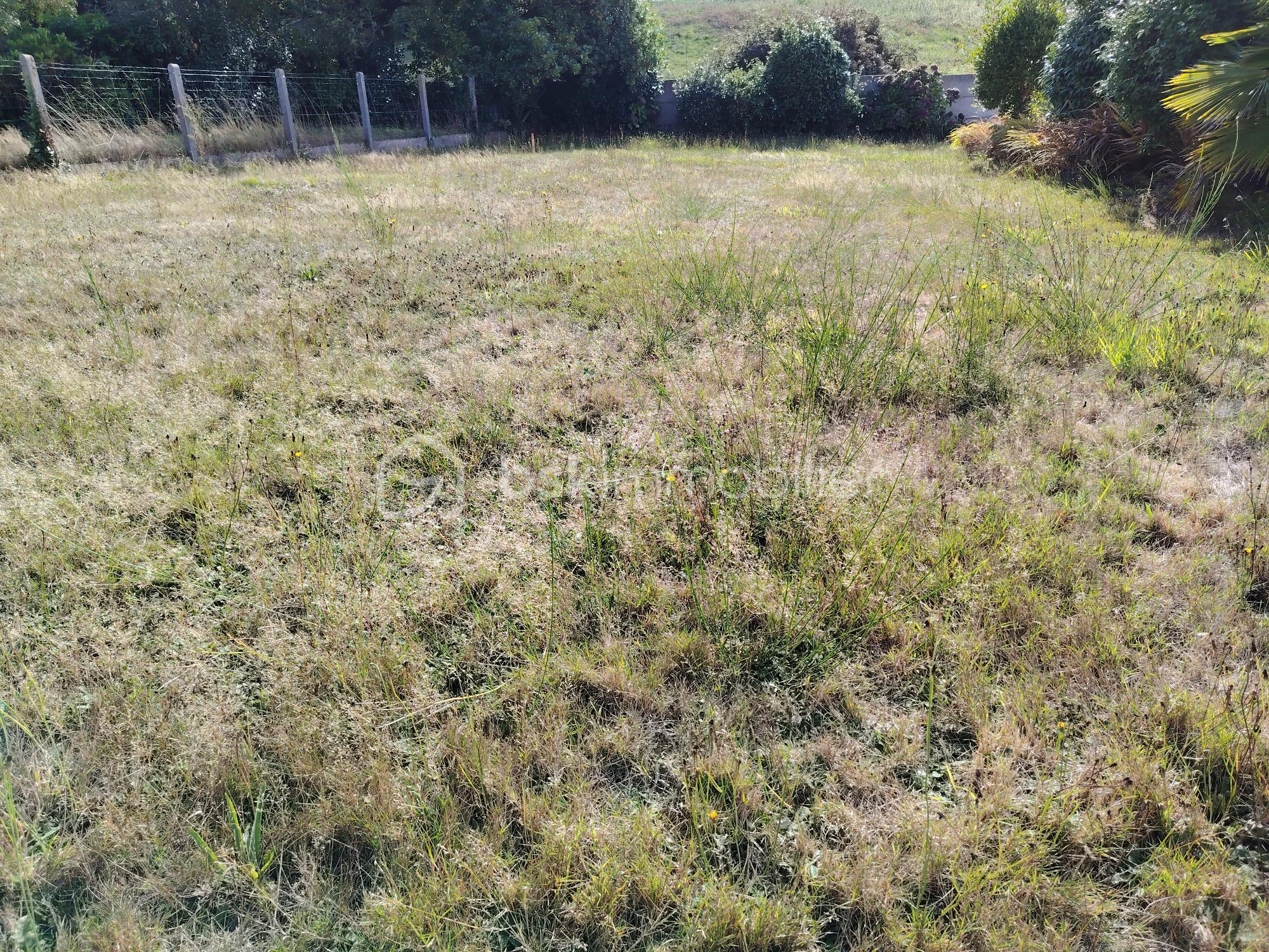 Terrain de 431 m² - IMG_20250903_170531.jpg