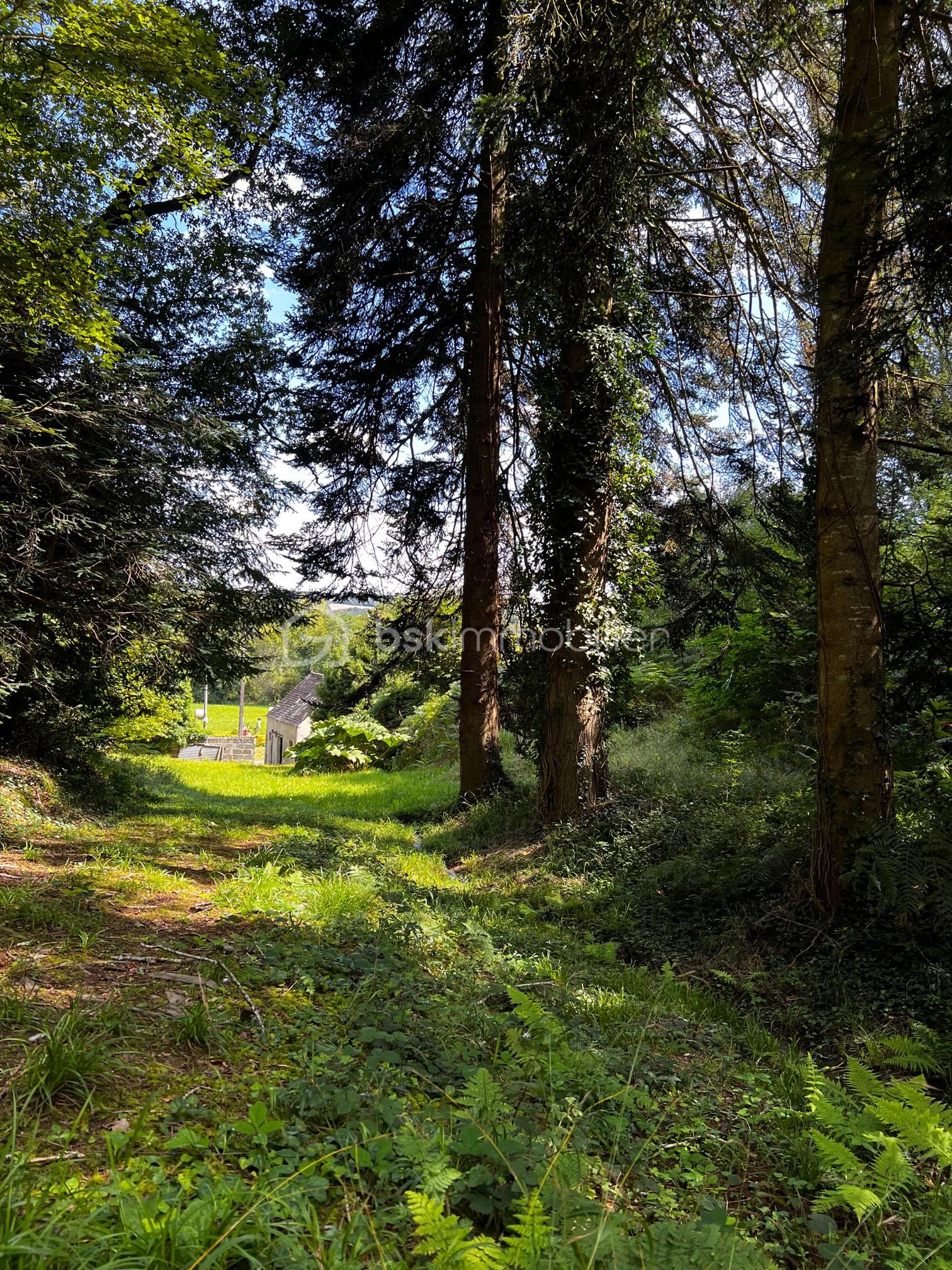 Corps de ferme de 113 m² - bois Stang Eolen.jpg