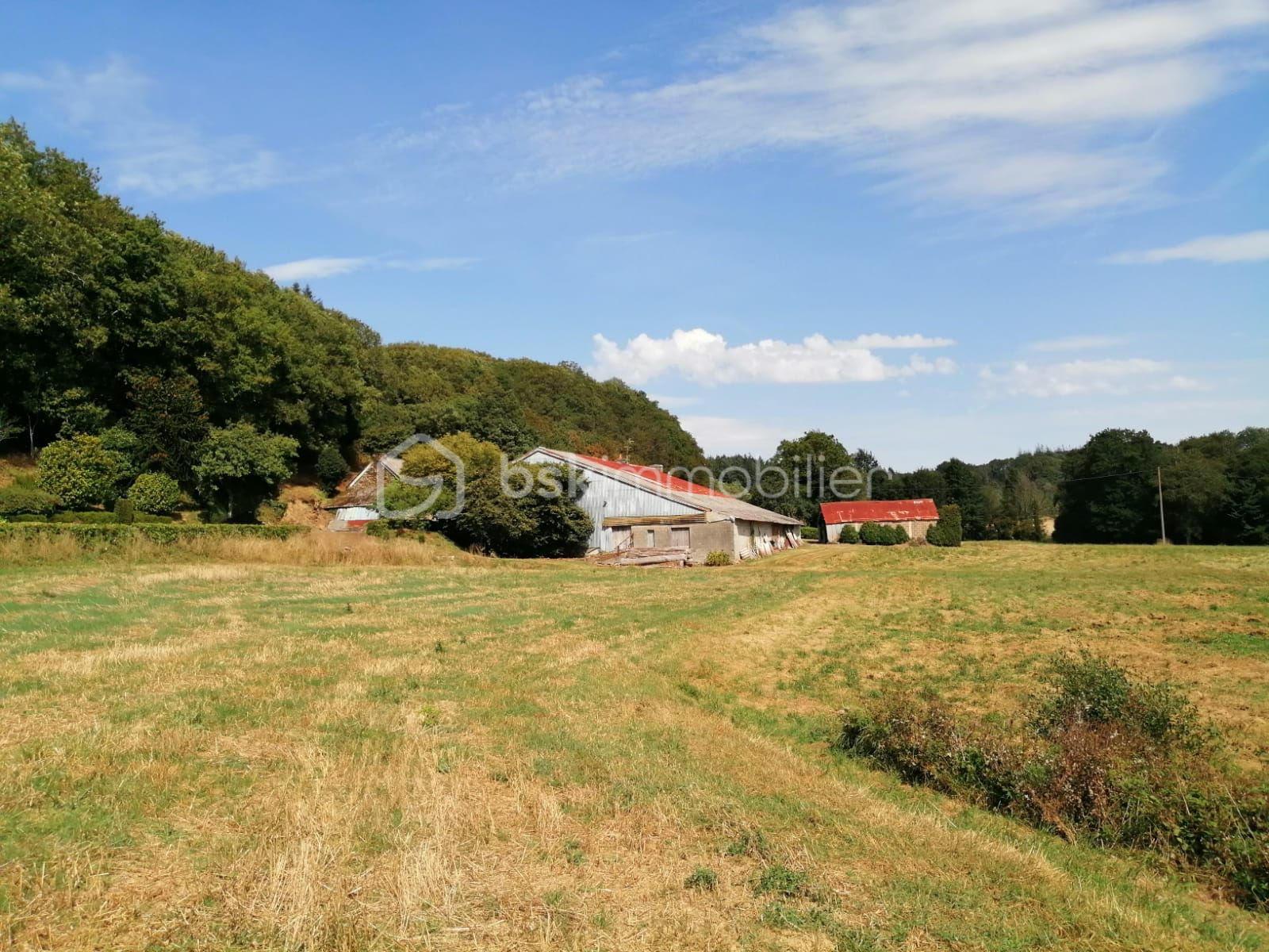 Corps de ferme de 113 m² - terre hangar stang eolen.jpg