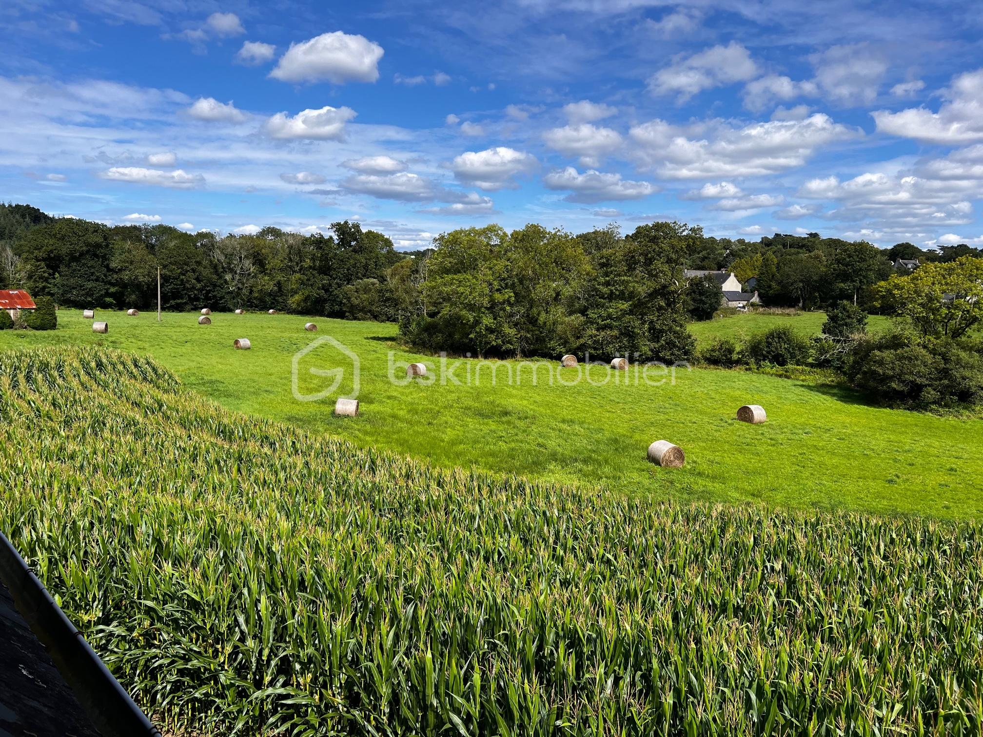 Corps de ferme de 113 m² - prairie StangE.jpg