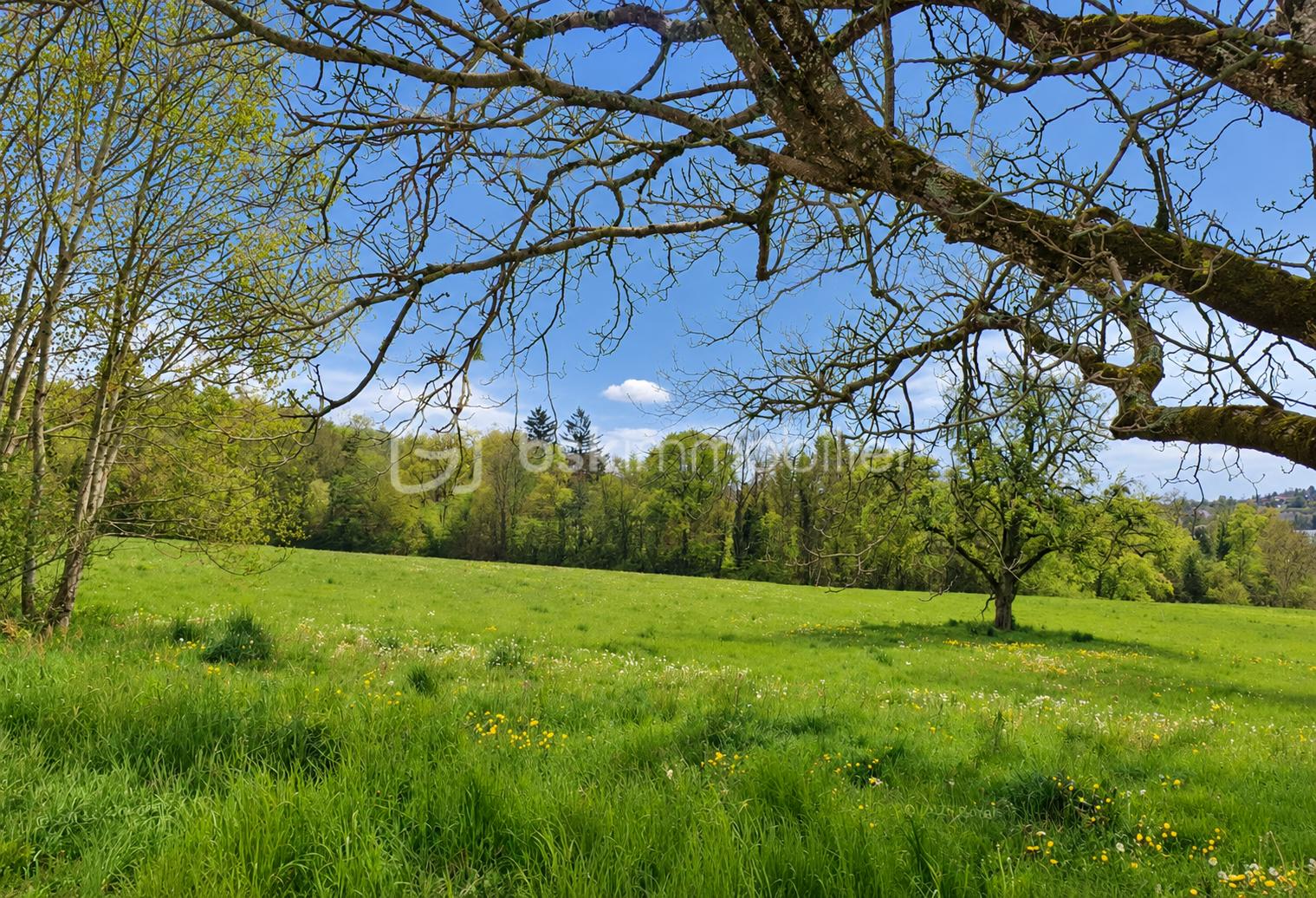 ChatGPT Image 9 sept. 2026, 10_33_05.png