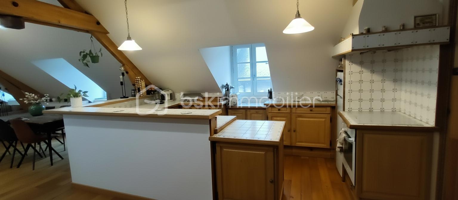 Appartement de 52 m² - cuisine 3.png