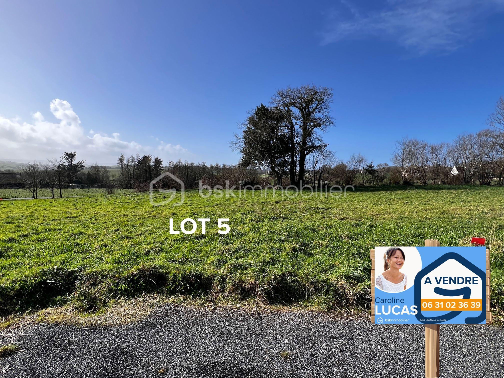 Terrain de 510 m² - 05 LOT 5.jpg