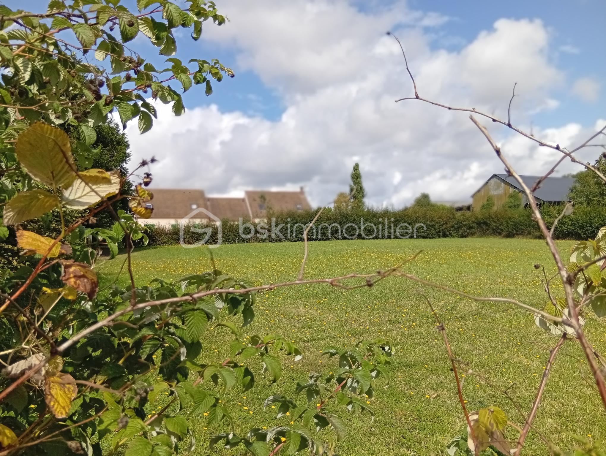 Lotissement de 1 831 m² - 1000001547.jpg