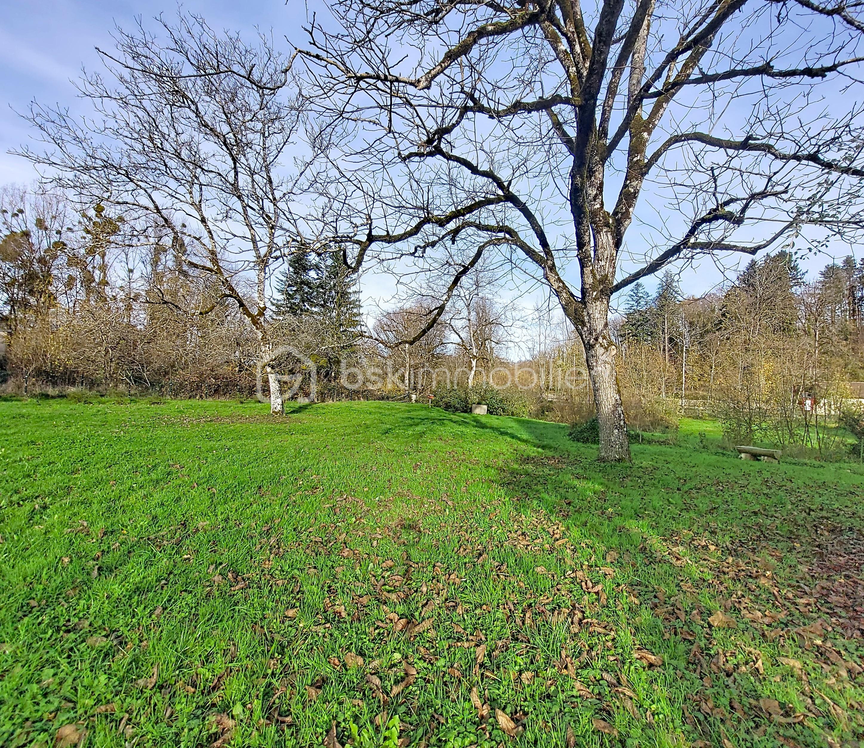 Propriete de 326 m² - Ext 1.jpg