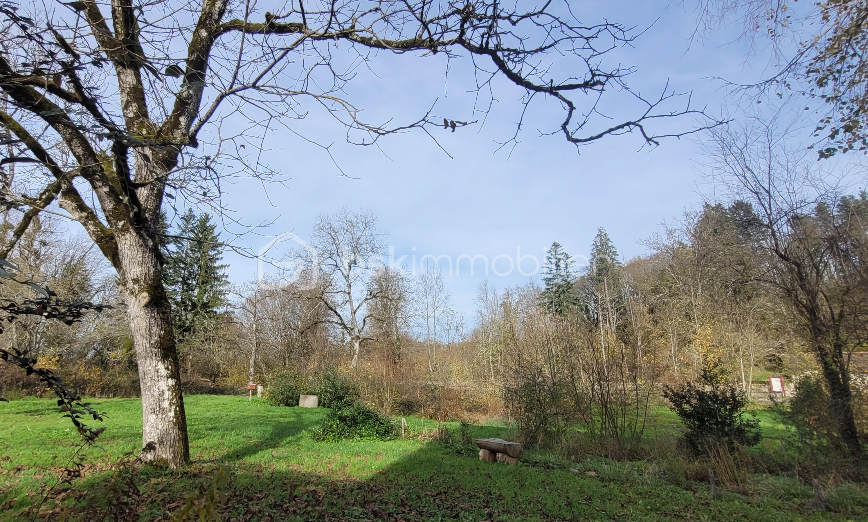 Propriete de 326 m² - 20251113_111902.jpg